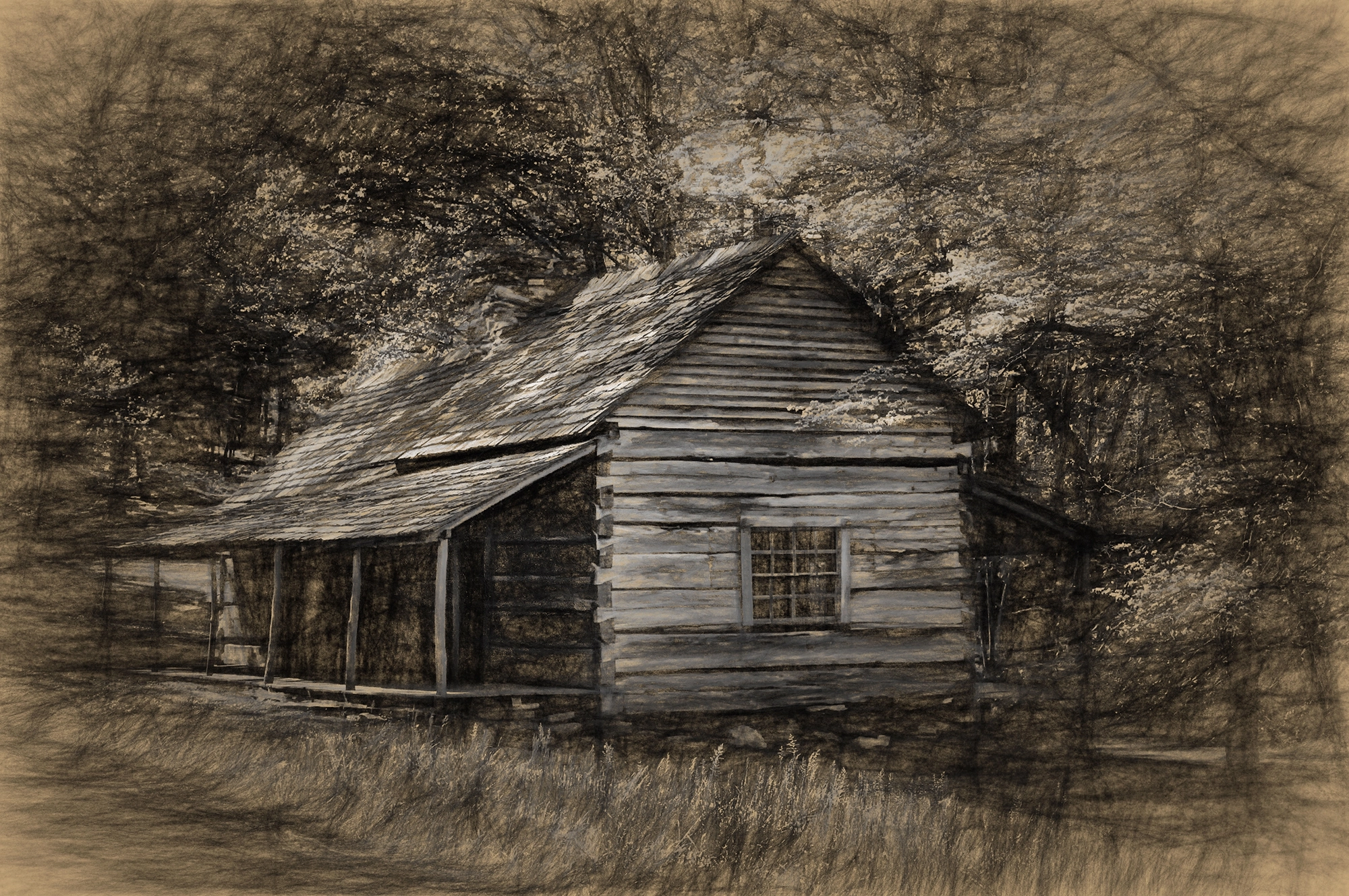 Nikon D2Xs sample photo. Noah ogle cabin photography