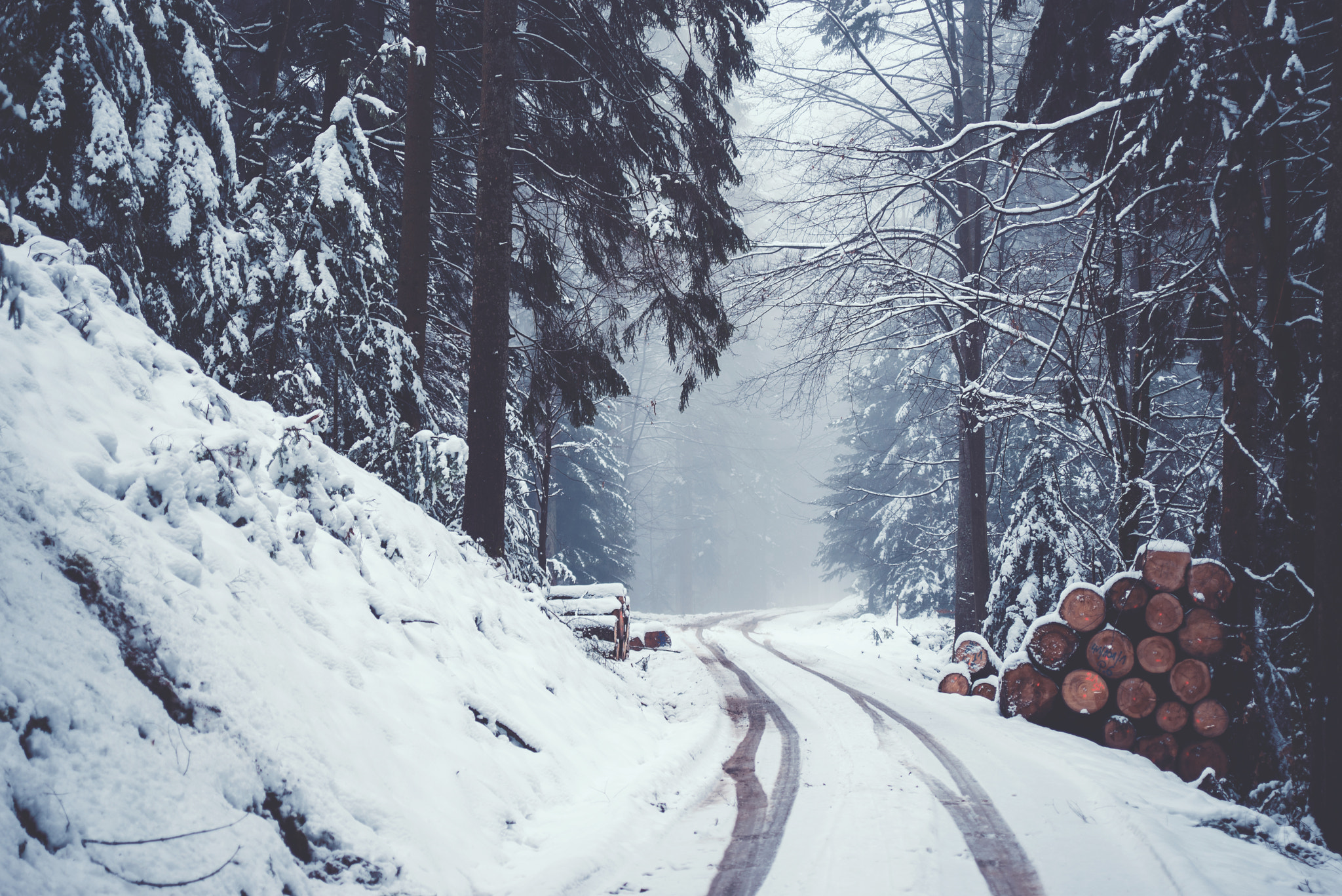 Nikon D610 + AF Zoom-Nikkor 28-70mm f/3.5-4.5 sample photo. Black forest road photography