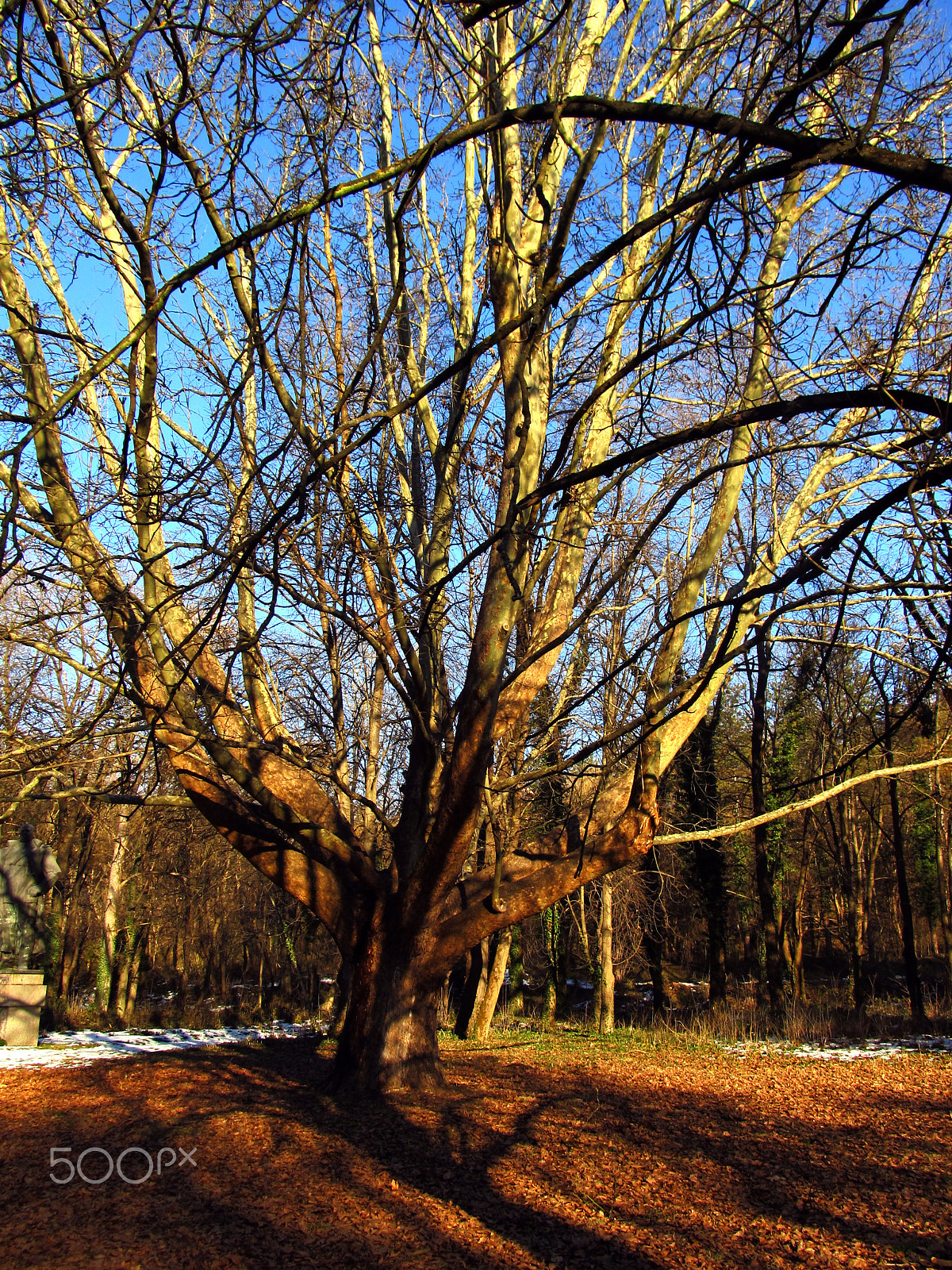 Canon EF 70-200mm F4L USM sample photo. January in pleven photography