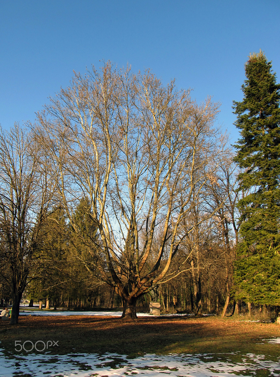 Canon PowerShot SX130 IS + Canon EF 70-200mm F4L USM sample photo. January in pleven photography