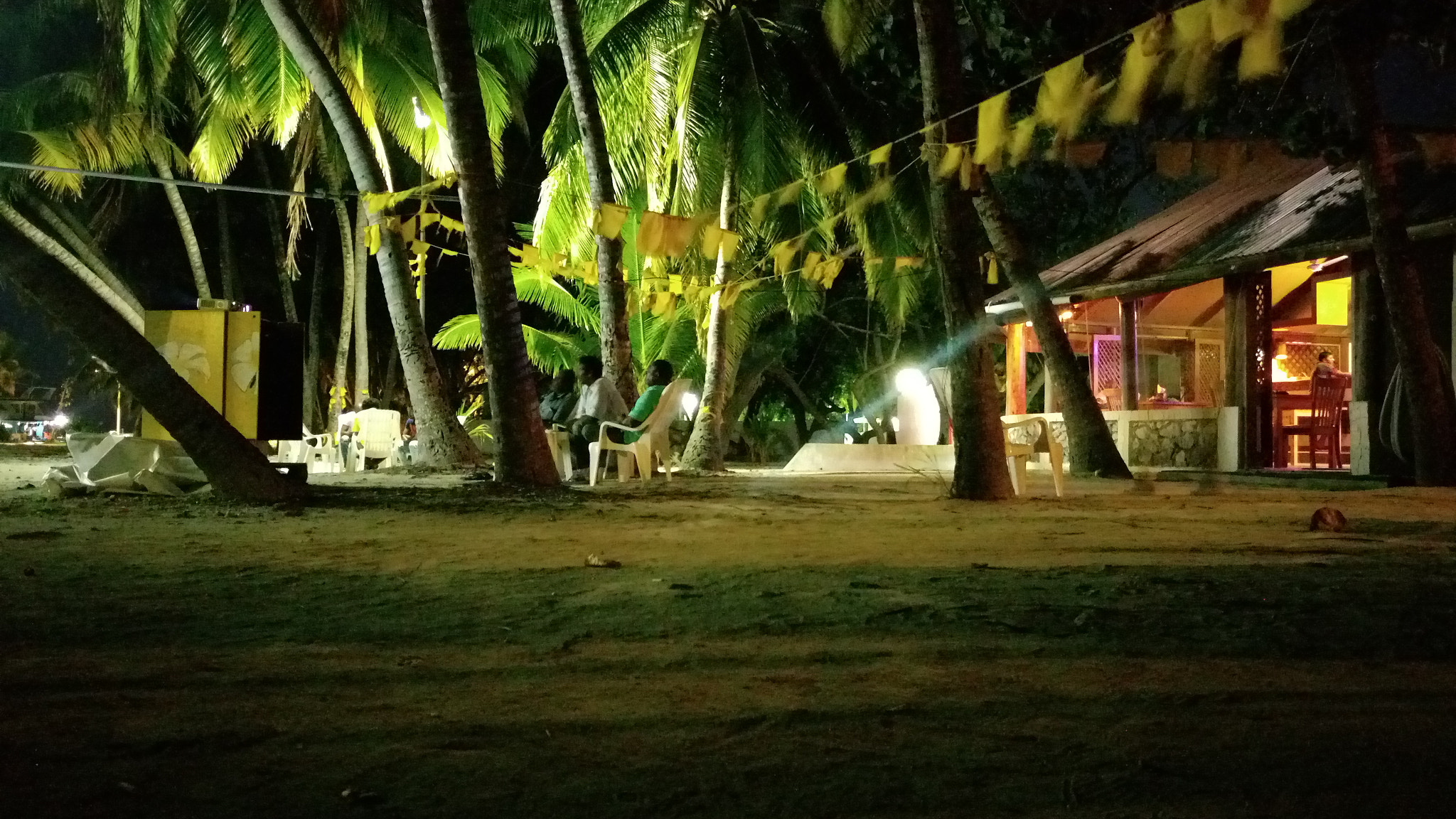 HTC ONE M9PLUS sample photo. Palmshadow photography