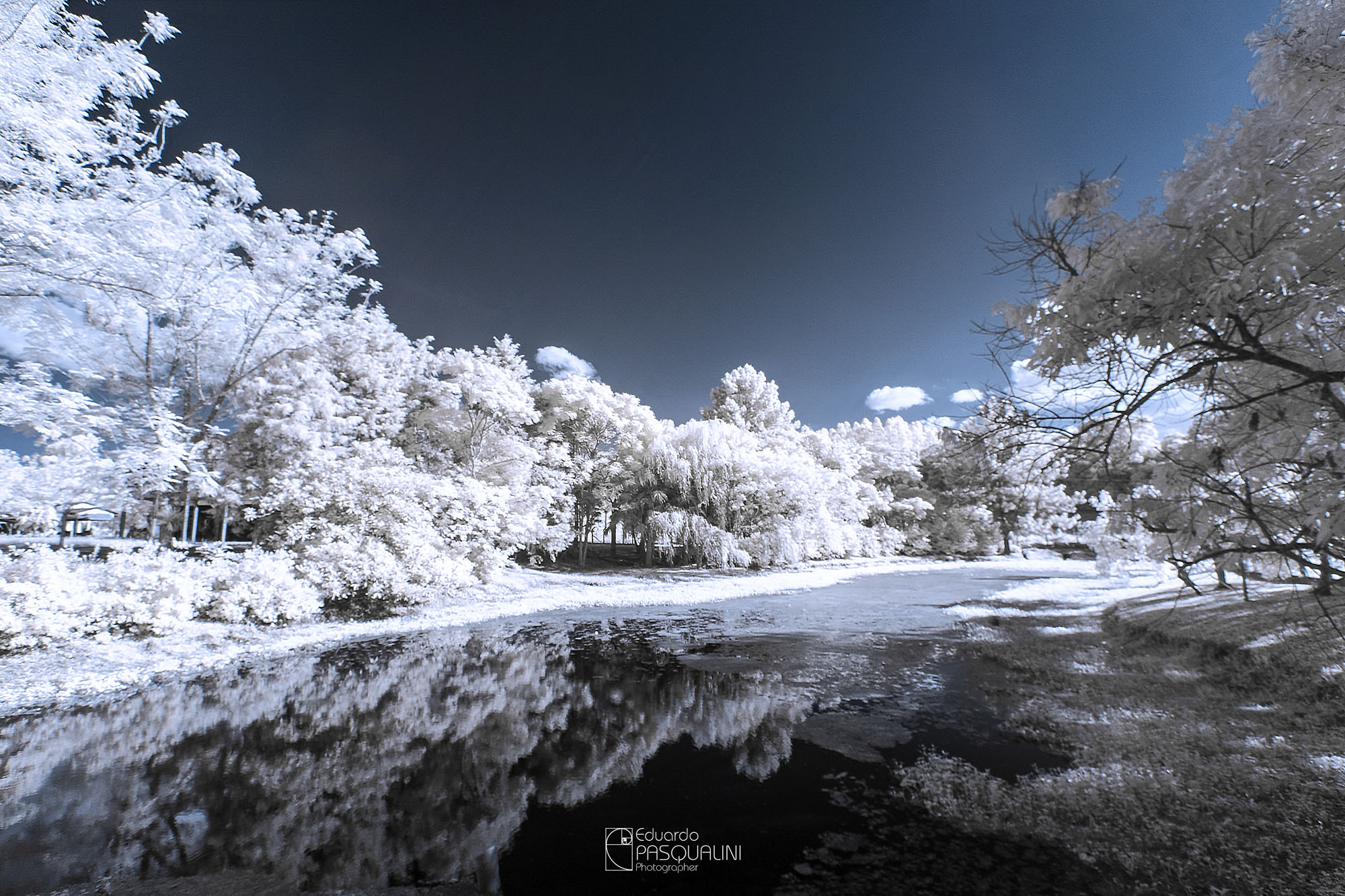 Canon EOS 30D sample photo. Infrared reflection photography