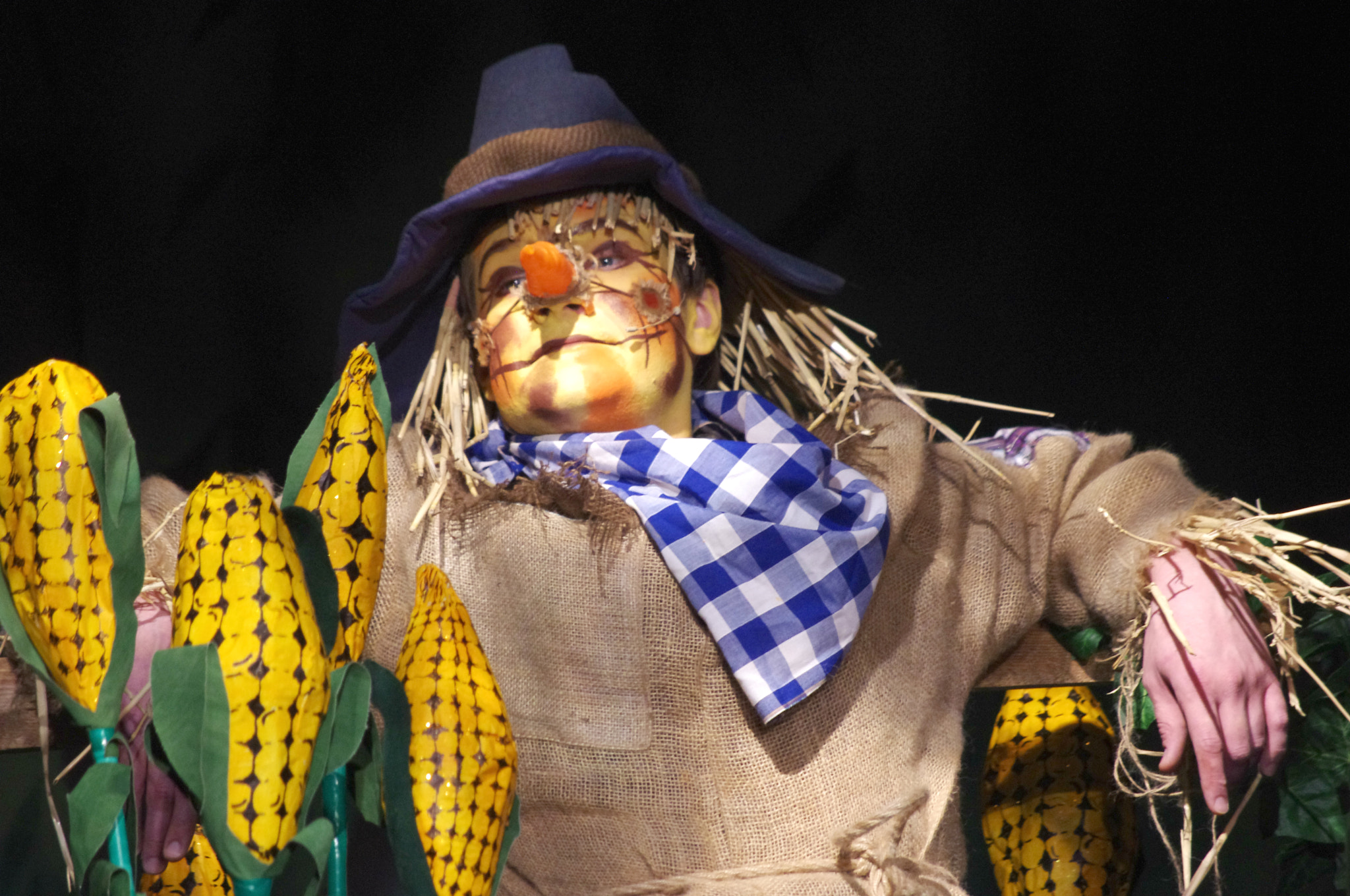 Pentax smc DA 50-200mm F4-5.6 ED sample photo. Panto time photography