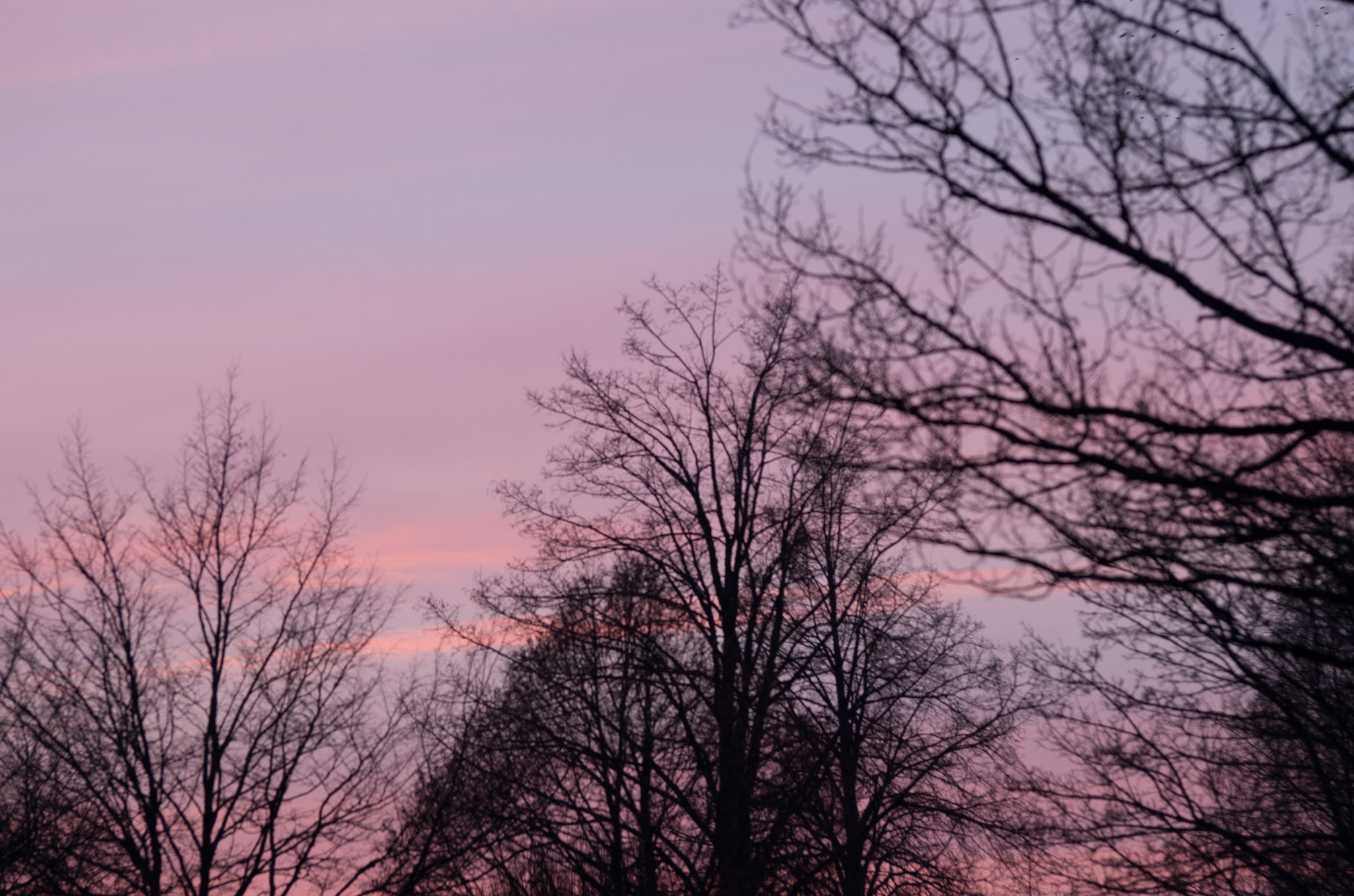 Pentax K-30 sample photo. February afternoon photography