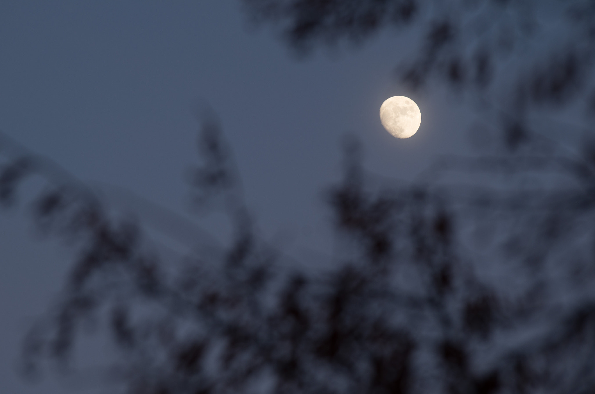 Pentax K-30 sample photo