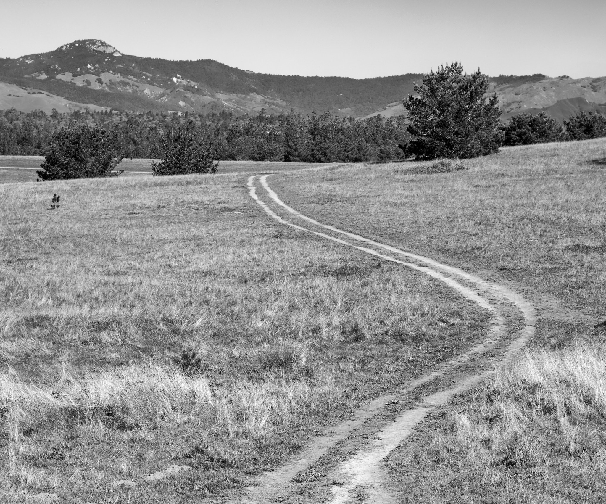 Nikon D5500 + Nikon AF-S Nikkor 58mm F1.4G sample photo. Morning walk photography