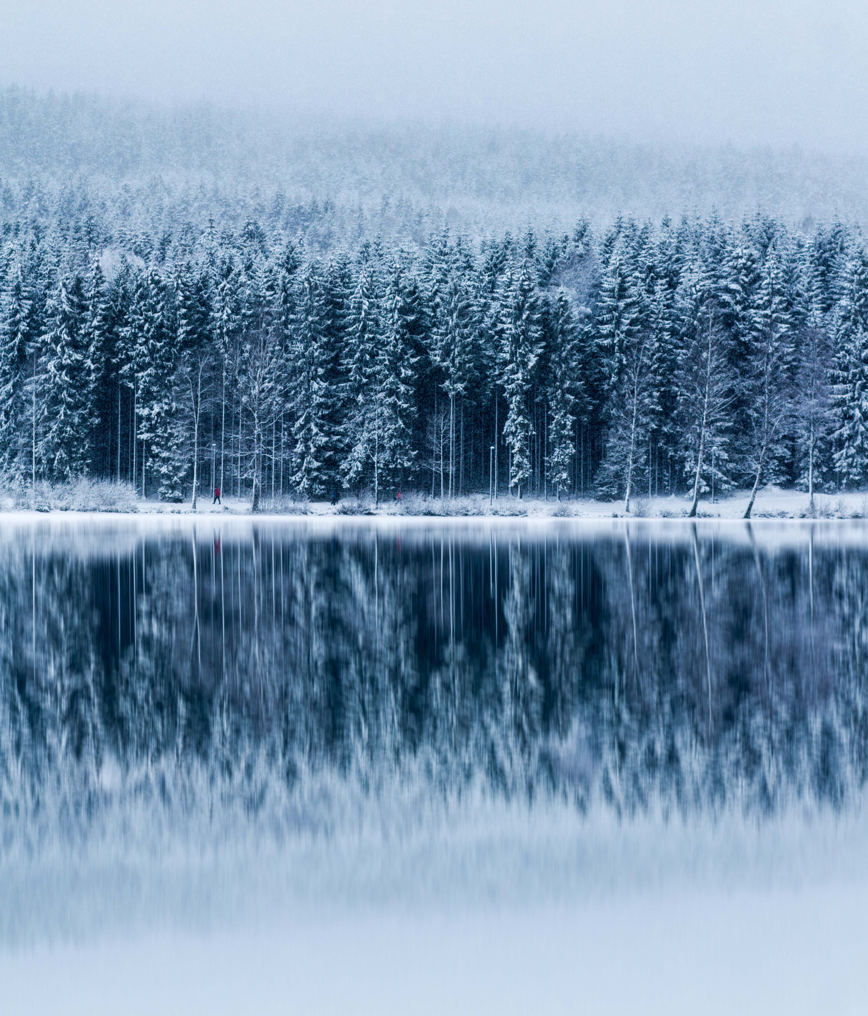 Canon EOS 70D + Canon EF 100mm F2.0 USM sample photo. Snow and trees photography