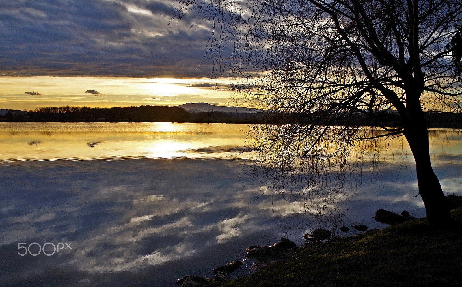 Pentax smc DA 18-55mm F3.5-5.6 AL sample photo. Lake bank with tree photography