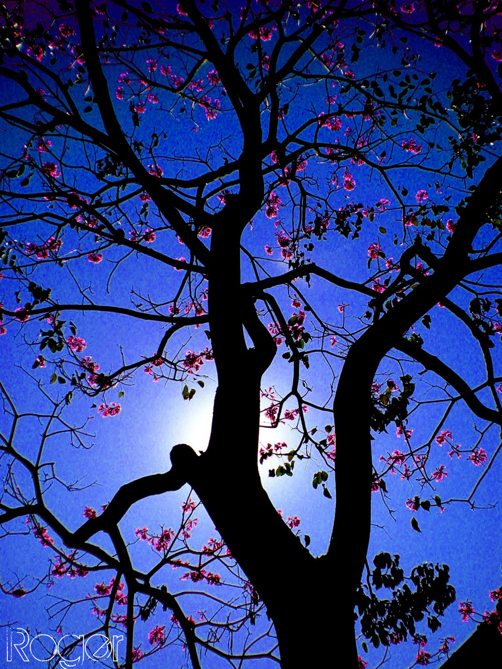 Nikon COOLPIX L14 sample photo