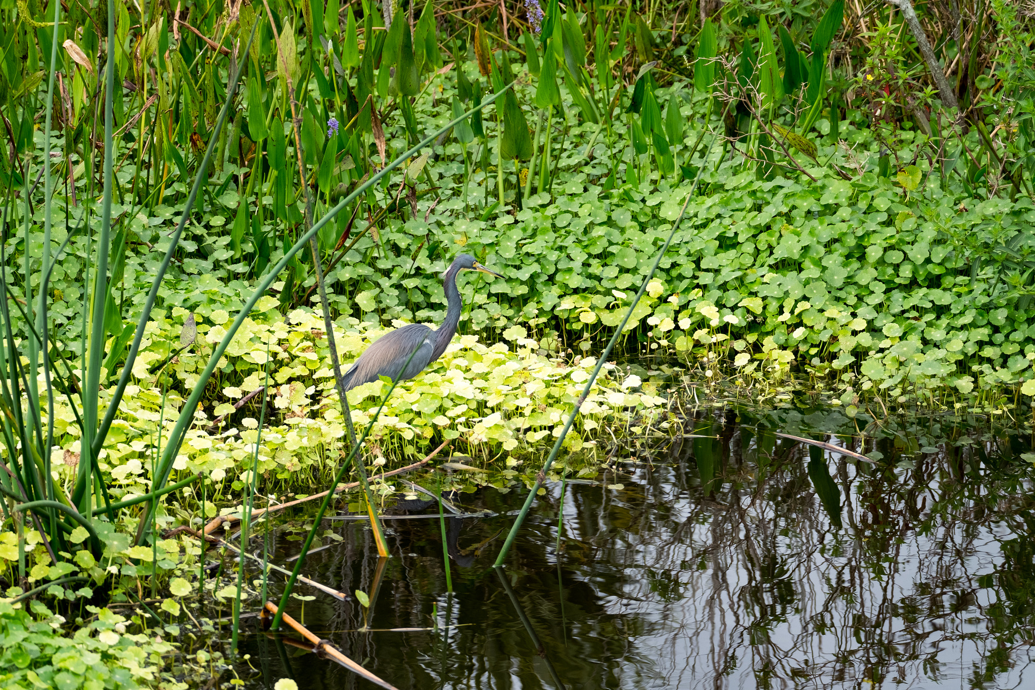 XF100-400mmF4.5-5.6 R LM OIS WR + 1.4x sample photo. _dsf1617.jpg photography