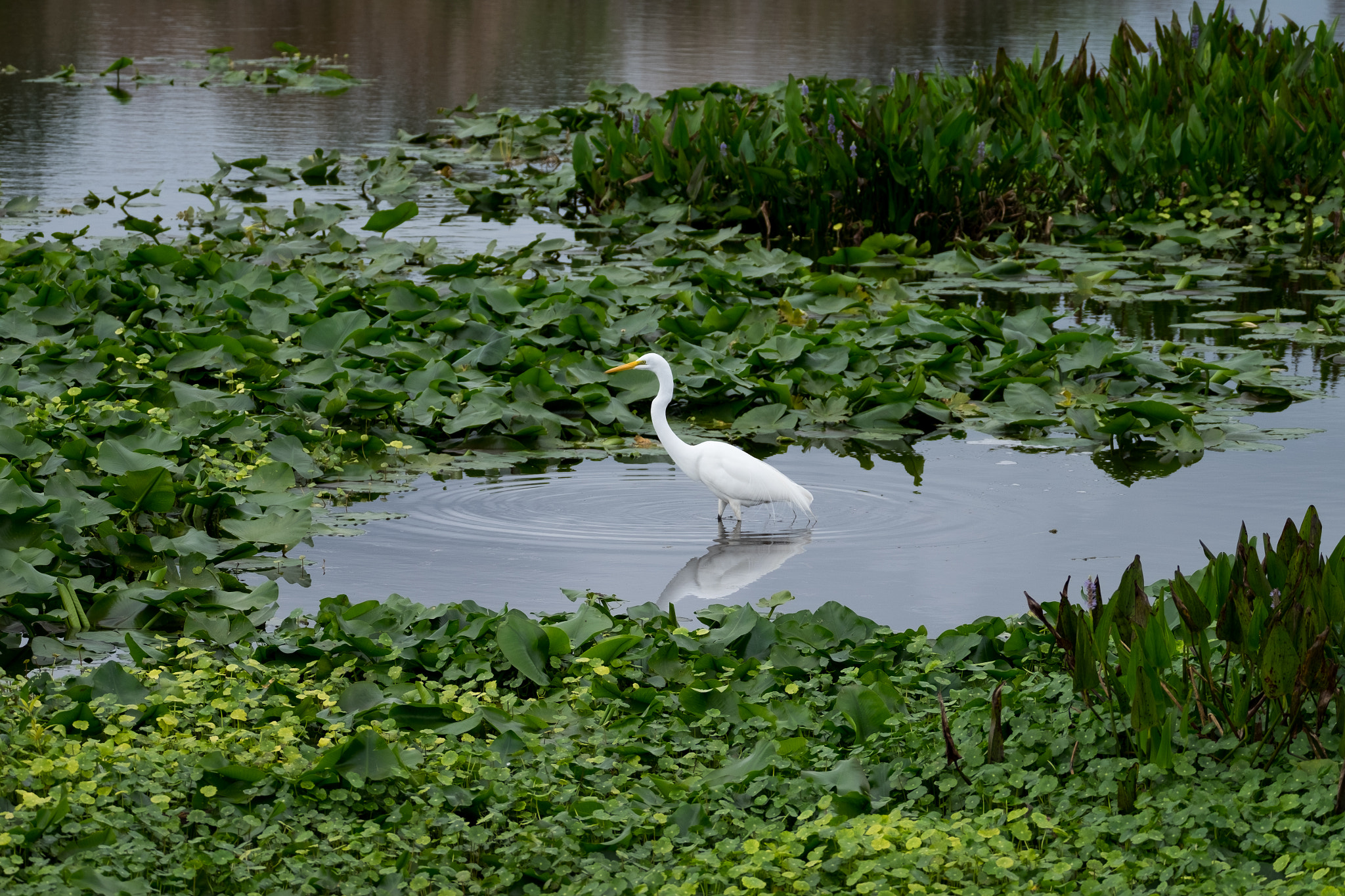 XF100-400mmF4.5-5.6 R LM OIS WR + 1.4x sample photo. _dsf1605.jpg photography