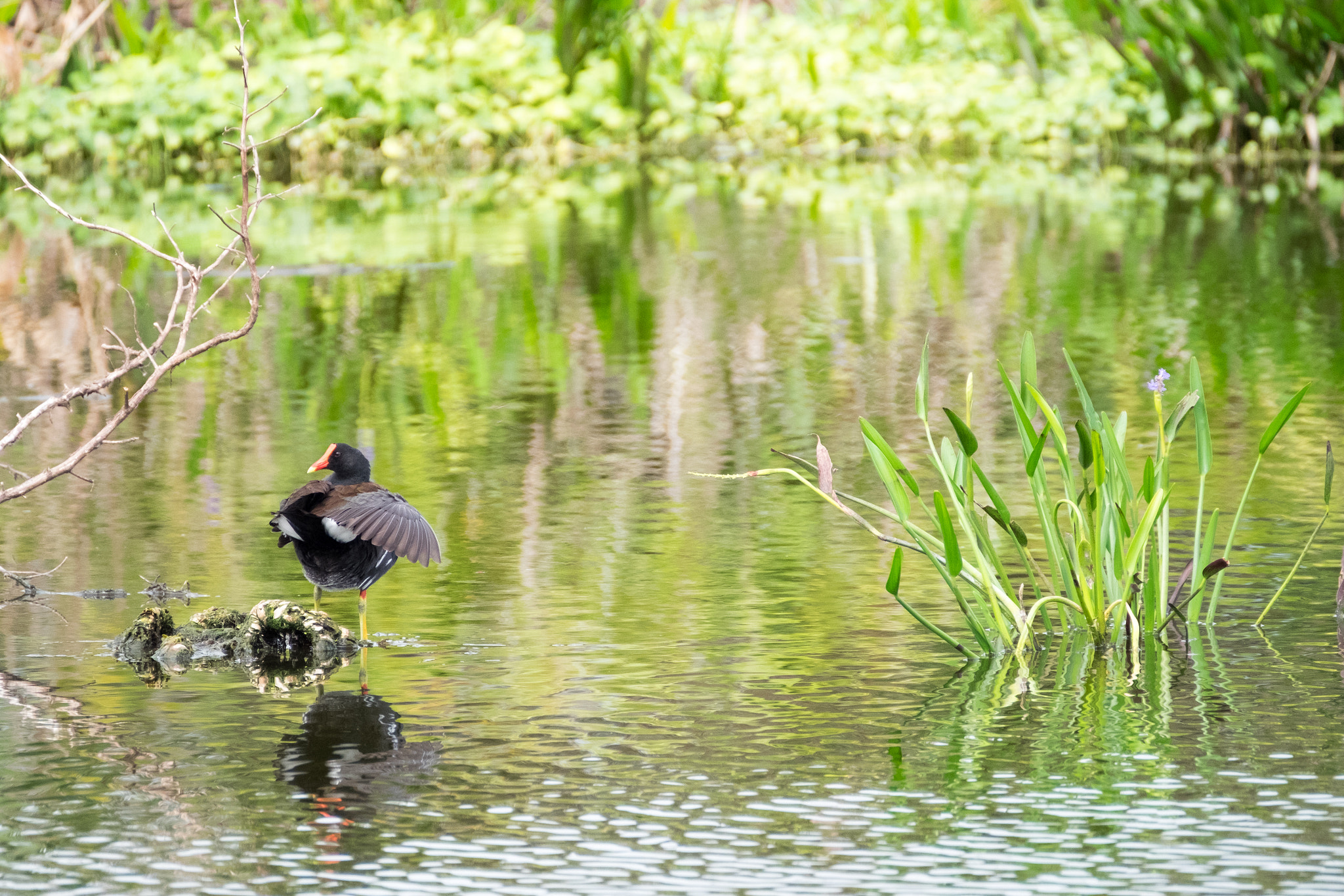 XF100-400mmF4.5-5.6 R LM OIS WR + 1.4x sample photo. _dsf1702.jpg photography