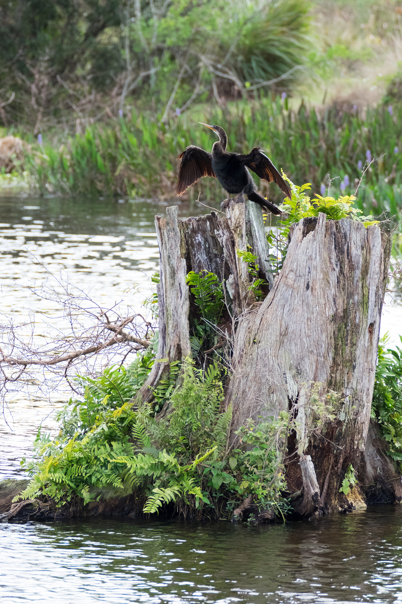 XF100-400mmF4.5-5.6 R LM OIS WR + 1.4x sample photo. _dsf1720.jpg photography