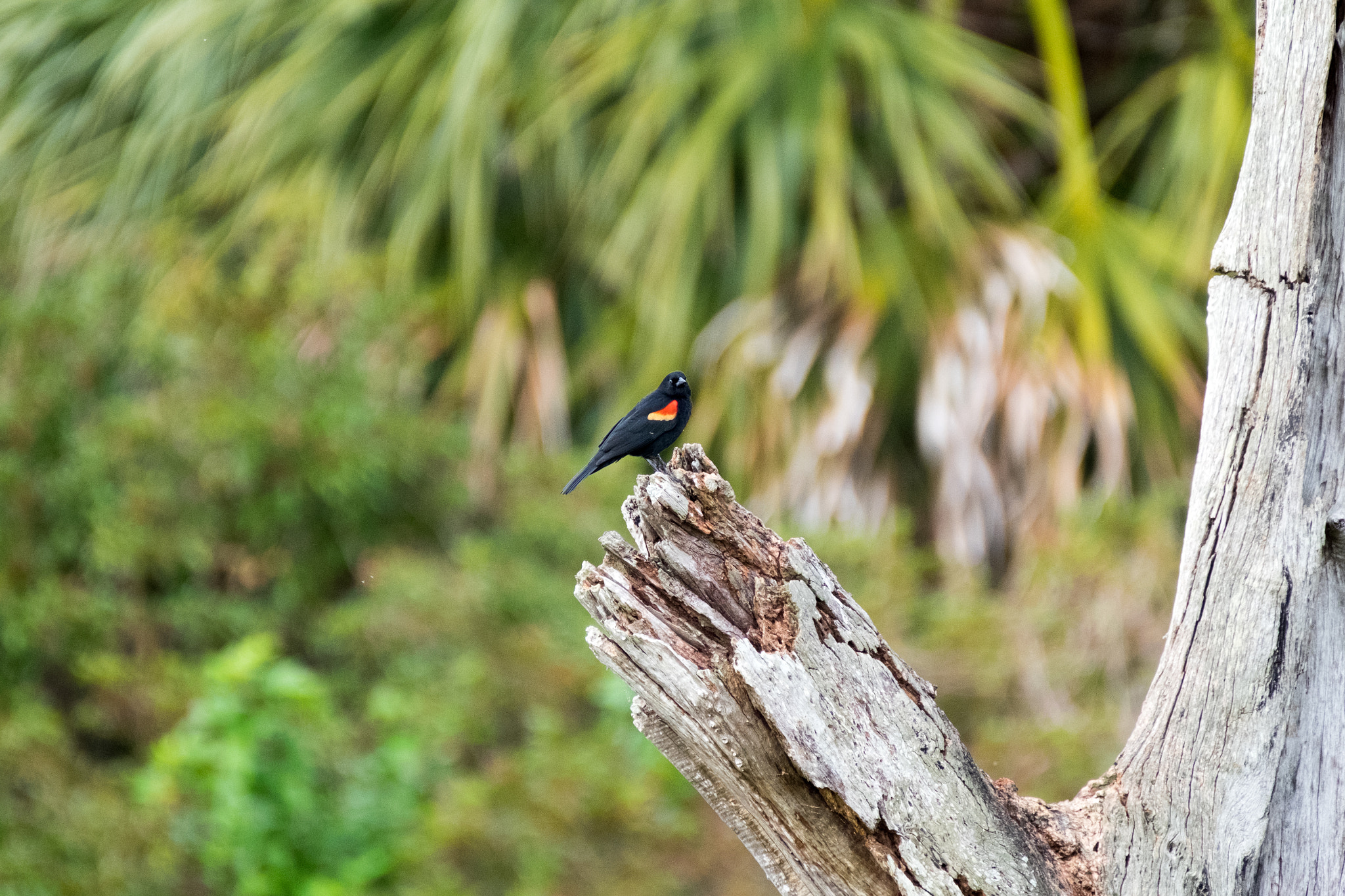XF100-400mmF4.5-5.6 R LM OIS WR + 1.4x sample photo. _dsf1721.jpg photography