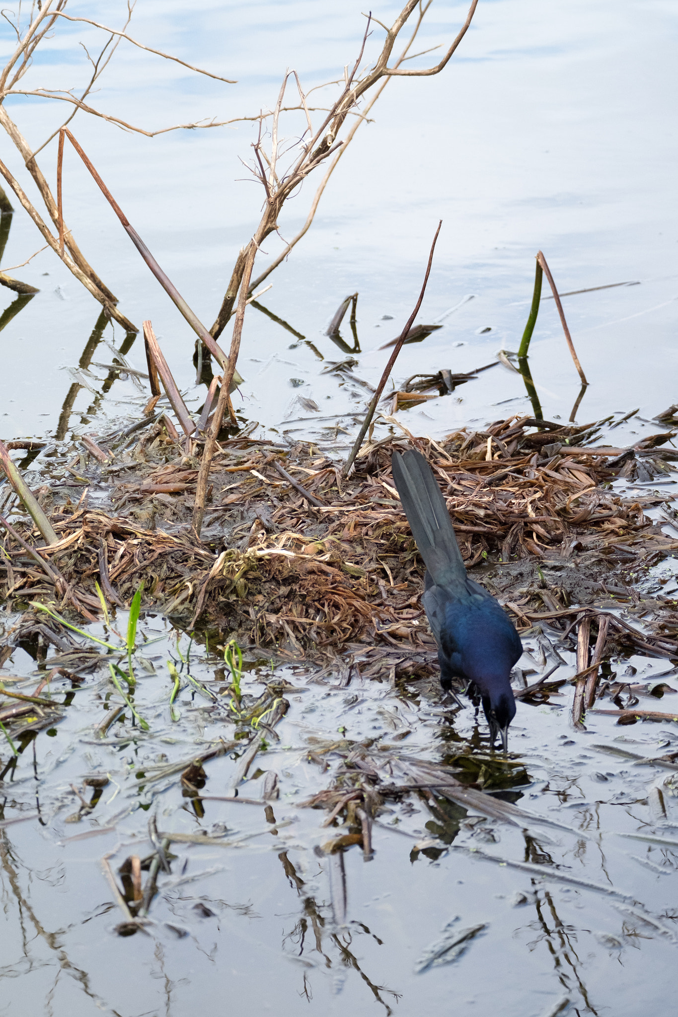 XF100-400mmF4.5-5.6 R LM OIS WR + 1.4x sample photo. _dsf1704.jpg photography