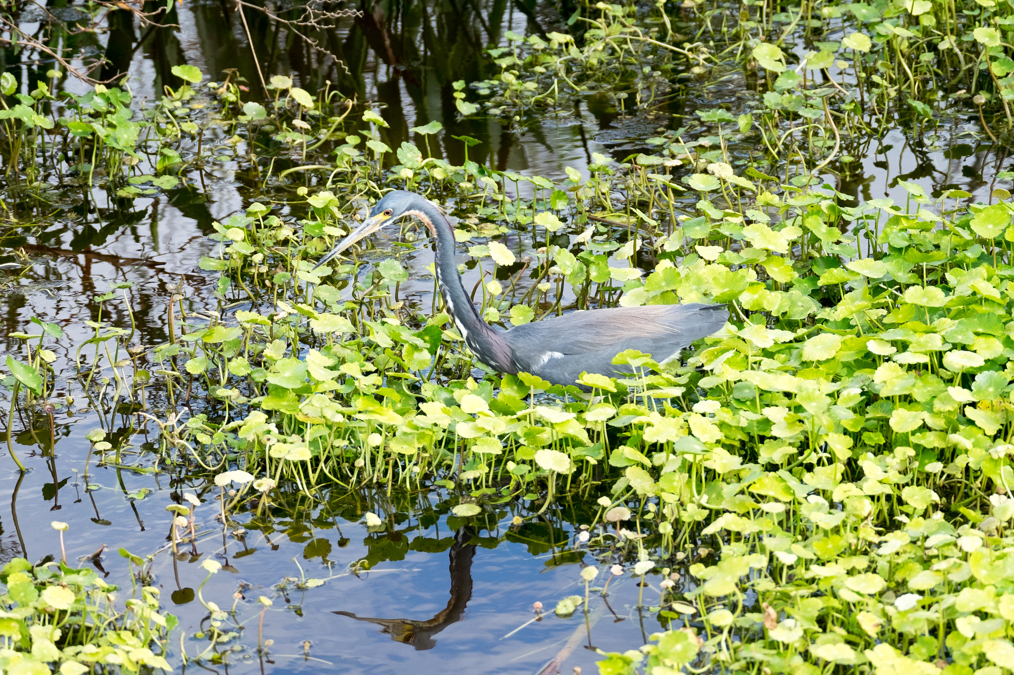 XF100-400mmF4.5-5.6 R LM OIS WR + 1.4x sample photo. _dsf1762.jpg photography
