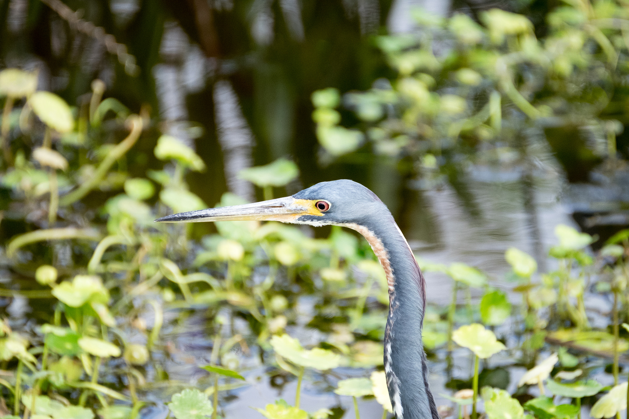 XF100-400mmF4.5-5.6 R LM OIS WR + 1.4x sample photo. _dsf1761.jpg photography
