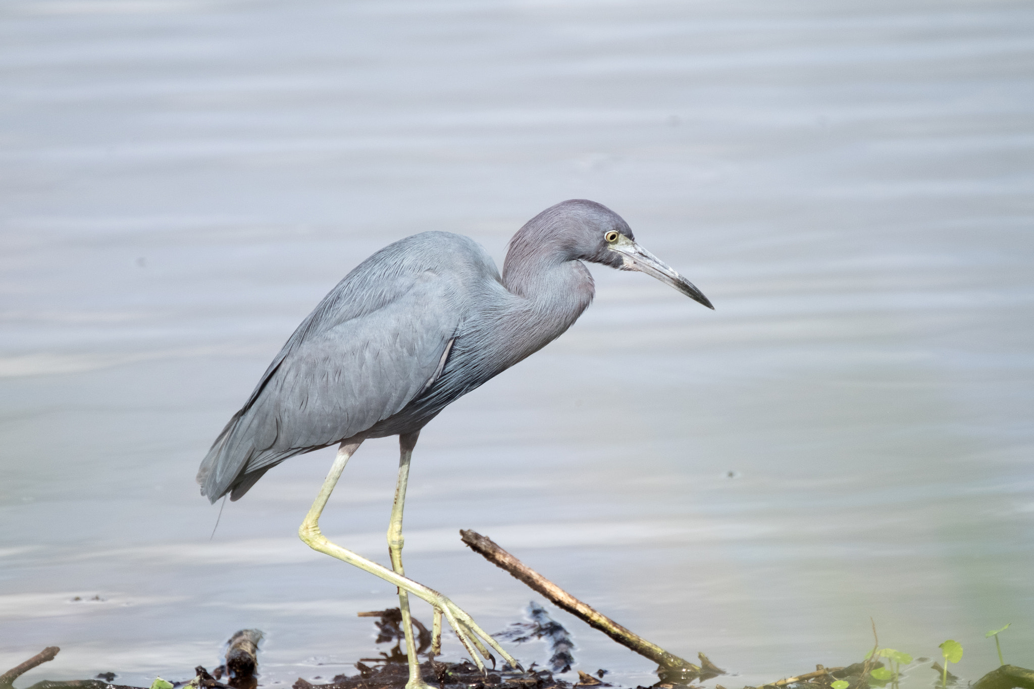 XF100-400mmF4.5-5.6 R LM OIS WR + 1.4x sample photo. _dsf1751.jpg photography