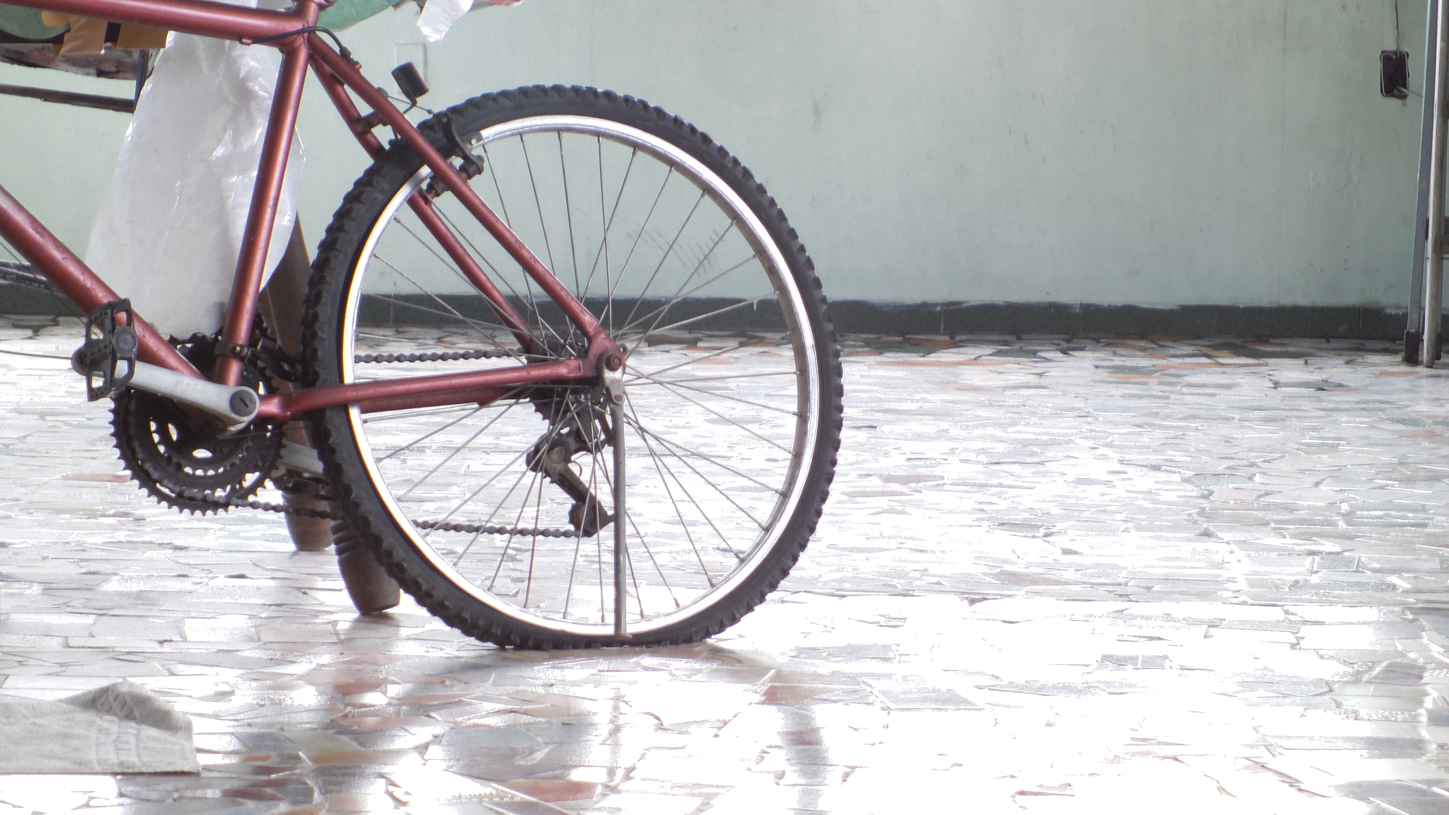 Benq G1 sample photo. Bike back tire photography