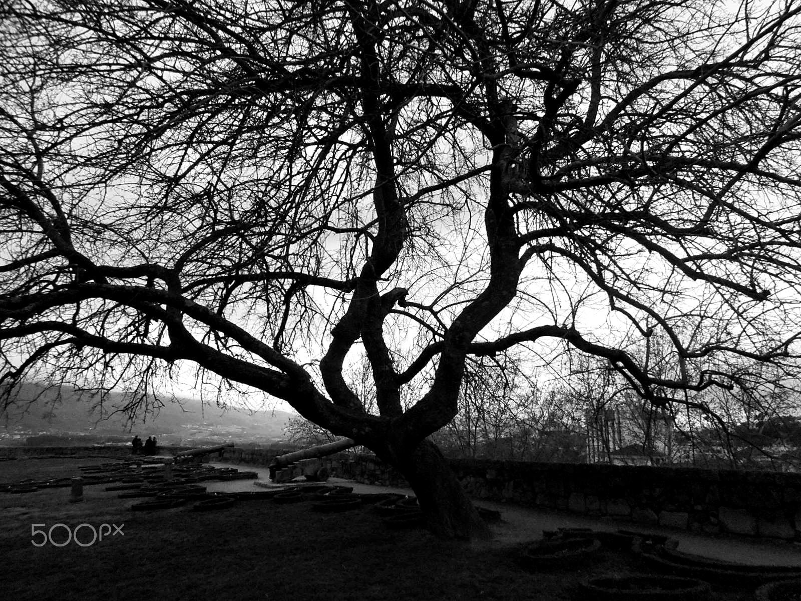 Olympus VR325,VR320,D725 sample photo. Genealogy photography