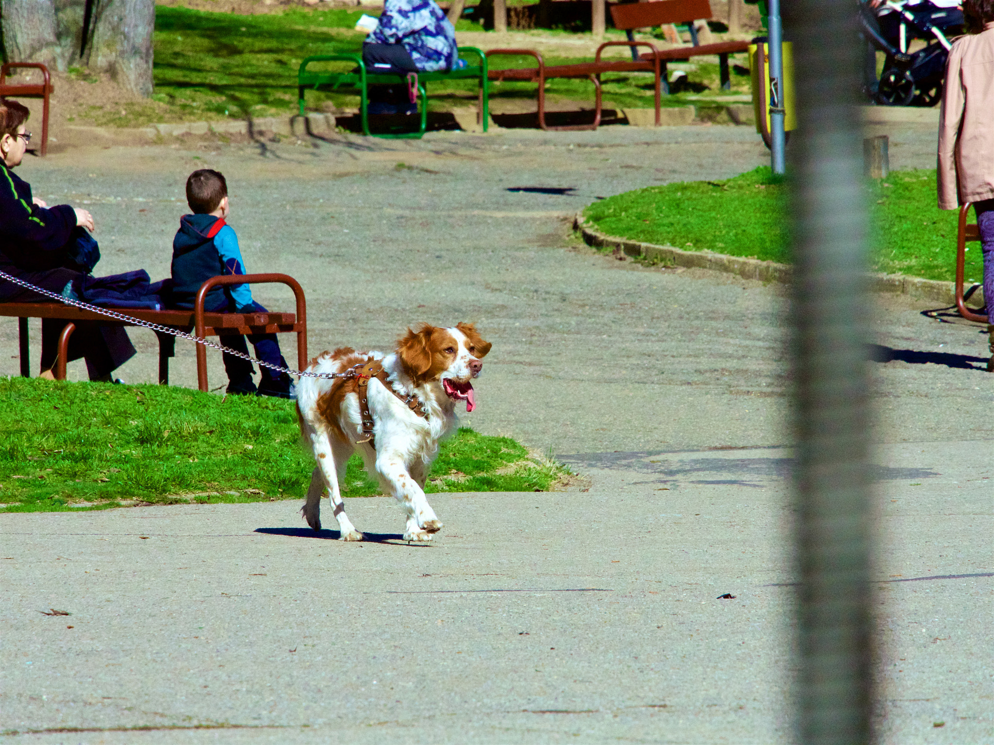 Panasonic Lumix DMC-GH4 sample photo. Парк Аязмото Стара Загора photography