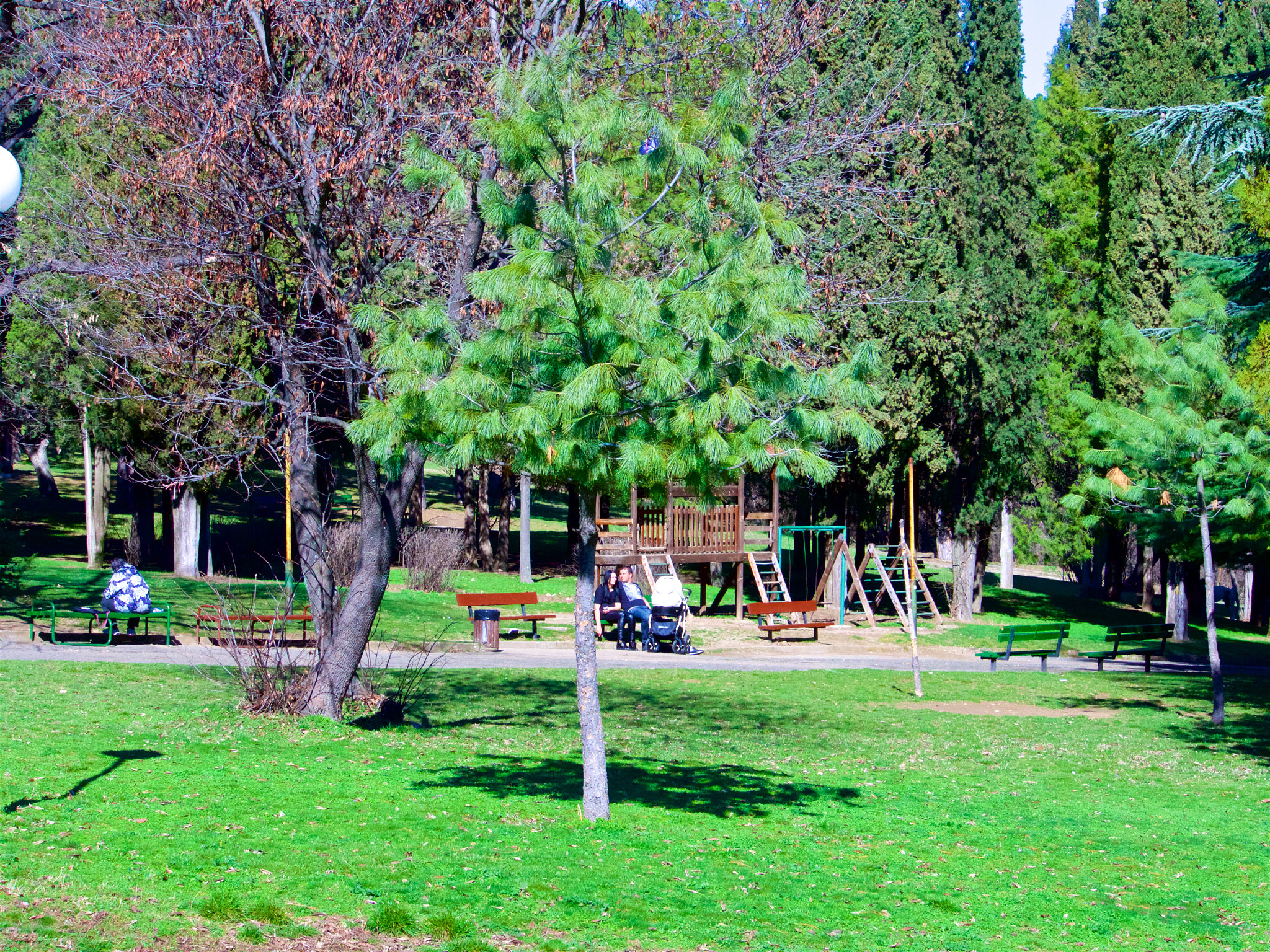 Panasonic Lumix DMC-GH4 sample photo. Парк Аязмото Стара Загора photography