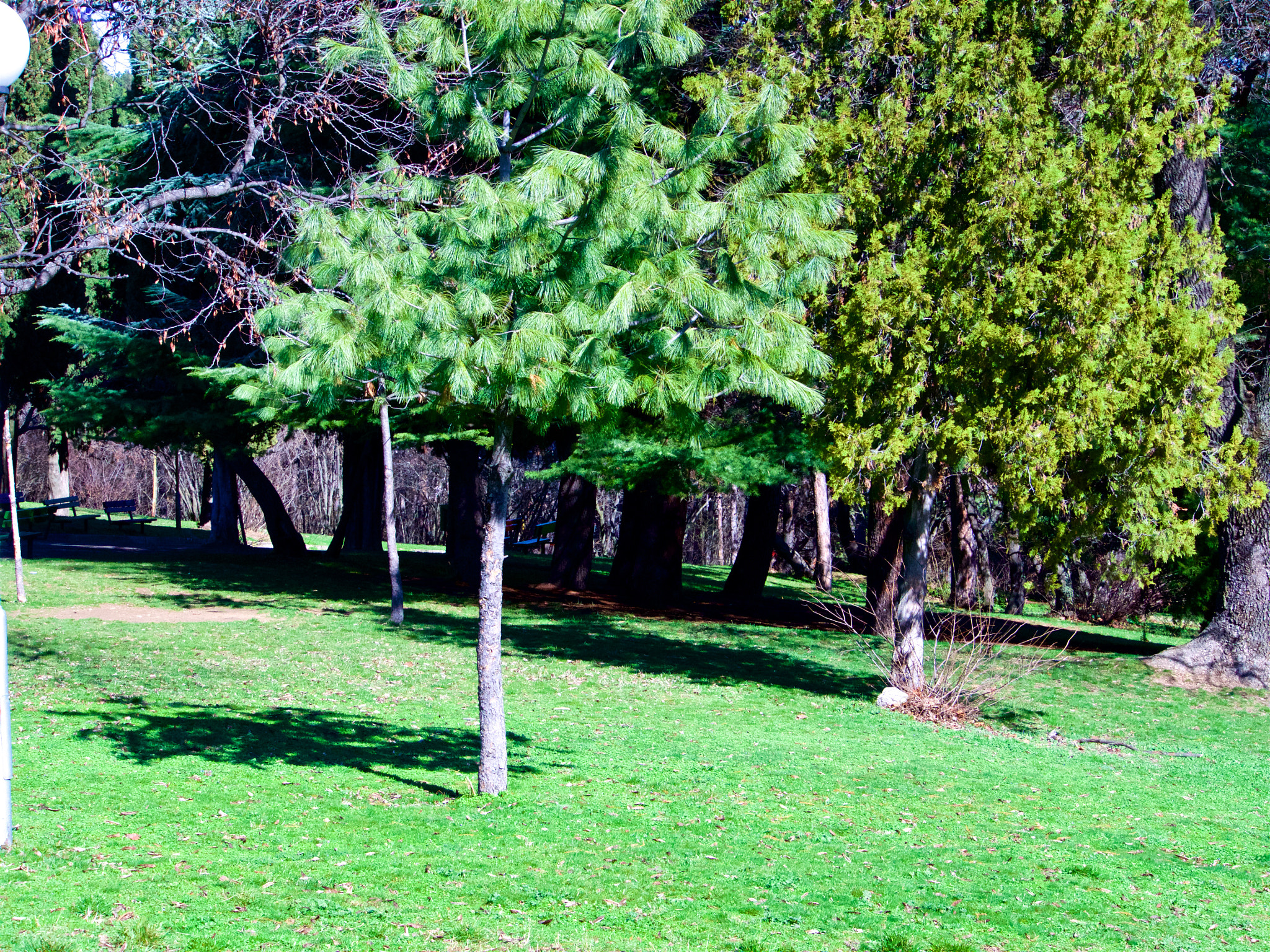 Panasonic Lumix DMC-GH4 sample photo. Парк Аязмото Стара Загора photography
