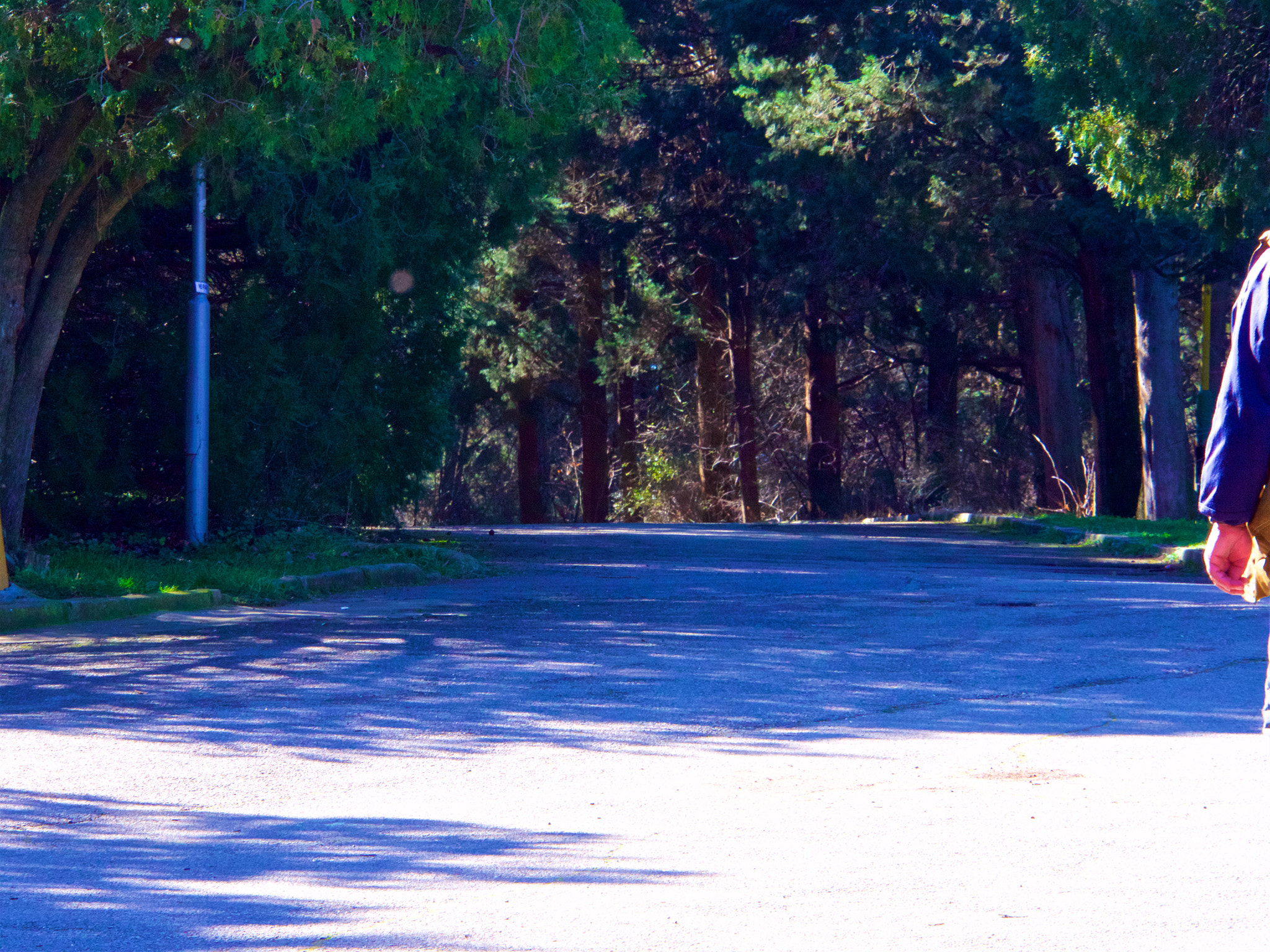 Panasonic Lumix DMC-GH4 sample photo. Парк Аязмото Стара Загора photography
