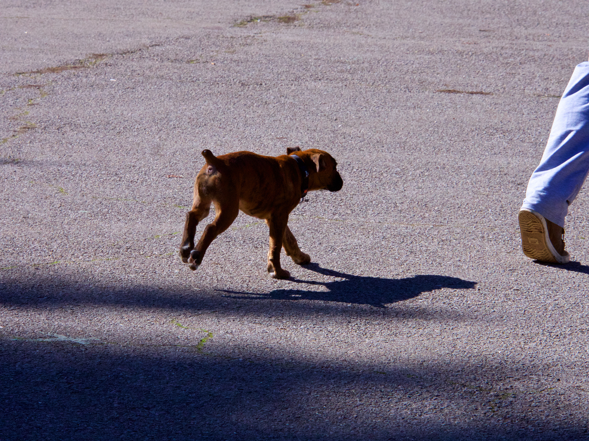 Panasonic Lumix DMC-GH4 sample photo. Парк Аязмото Стара Загора photography