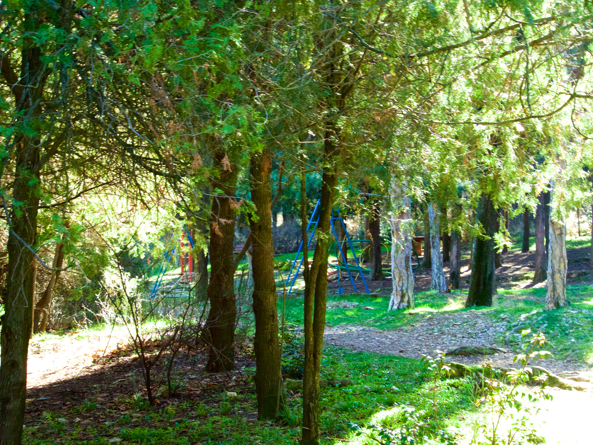 Panasonic Lumix DMC-GH4 sample photo. Парк Аязмото Стара Загора photography
