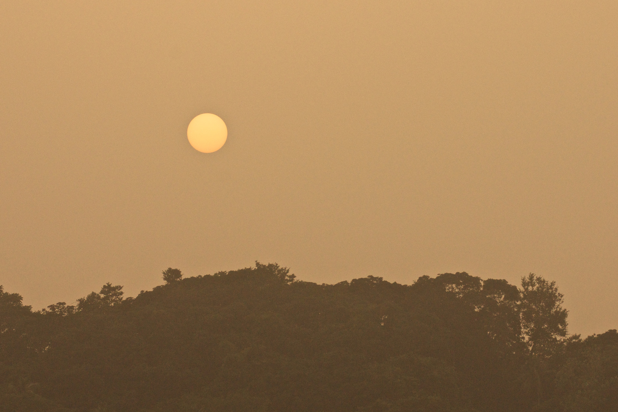 Sony 70-300mm F4.5-5.6 G SSM sample photo. Heading down photography