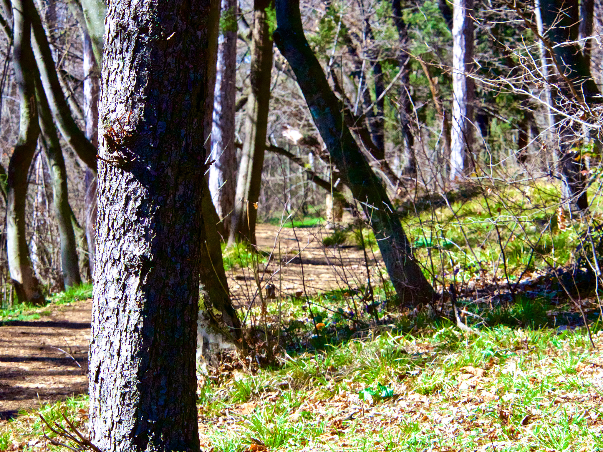 Panasonic Lumix DMC-GH4 sample photo. Парк Аязмото Стара Загора photography