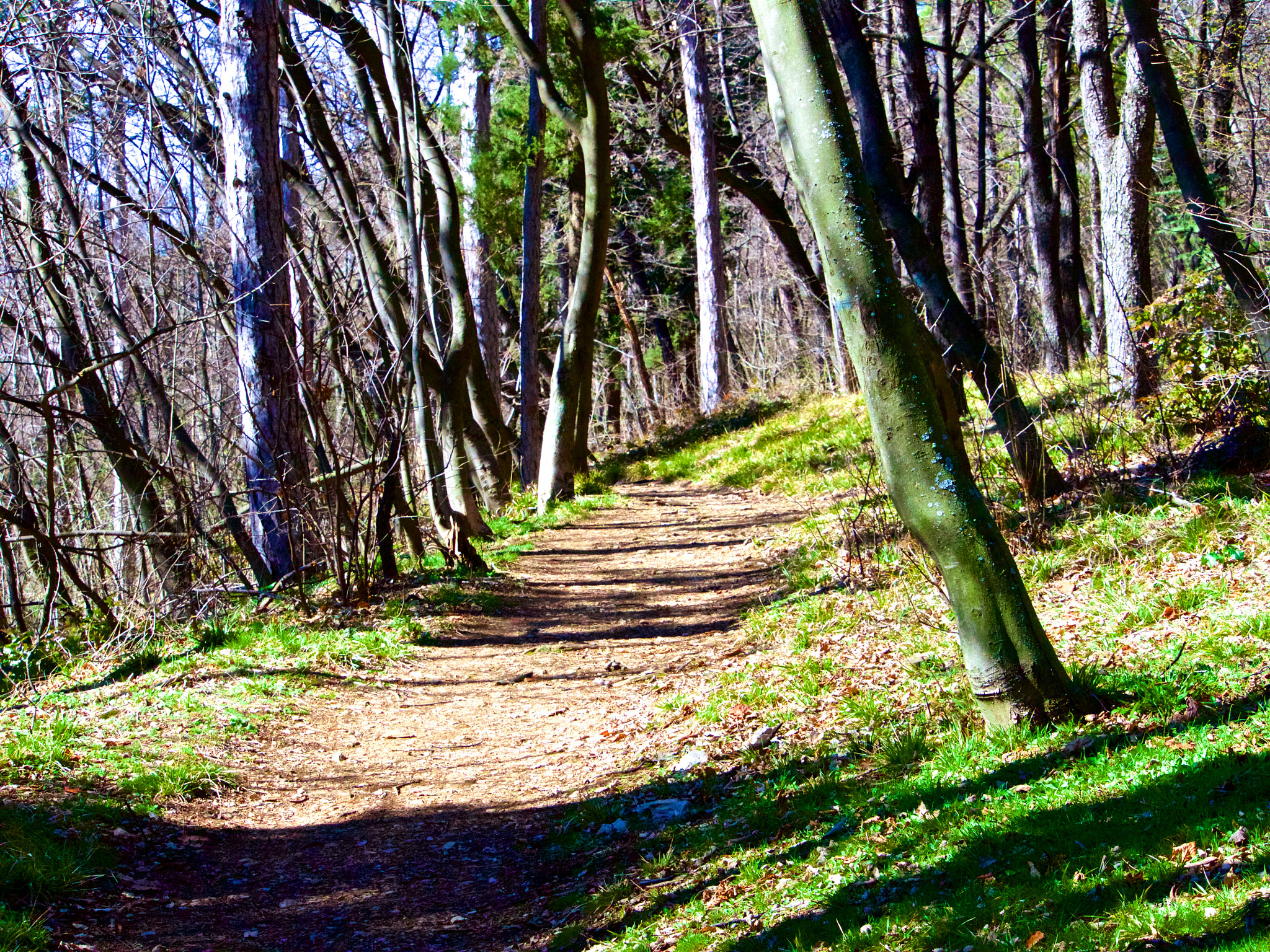 Panasonic Lumix DMC-GH4 sample photo. Парк Аязмото Стара Загора photography