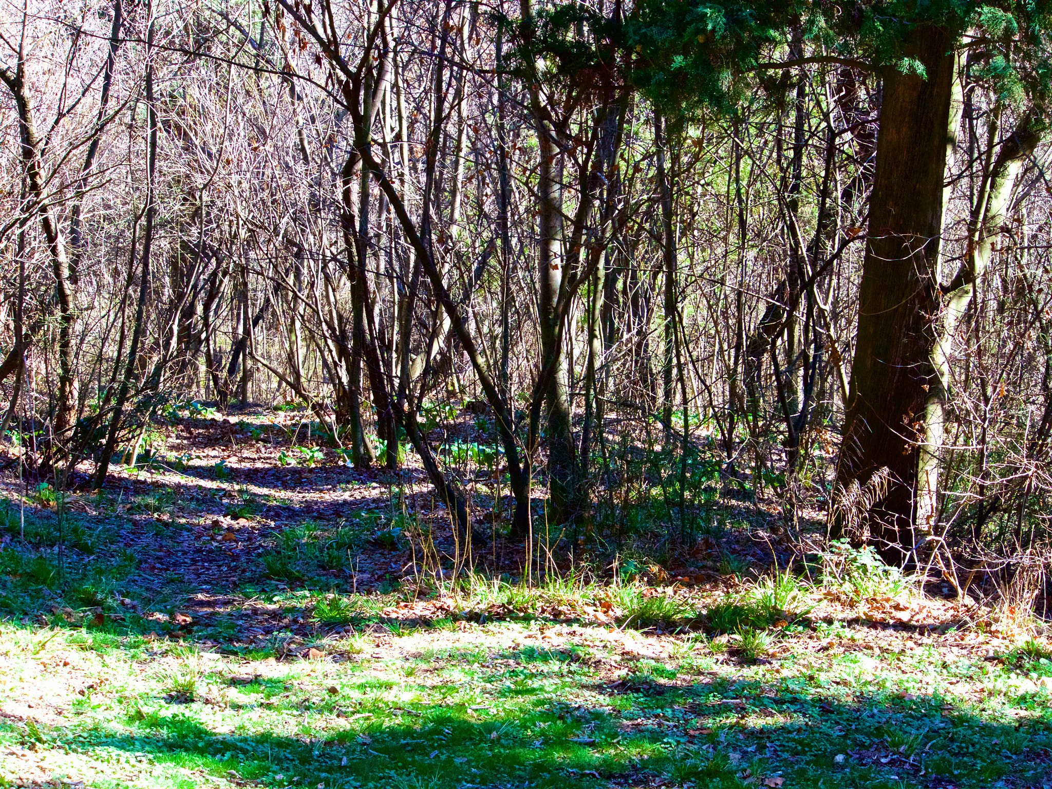 Panasonic Lumix DMC-GH4 sample photo. Парк Аязмото Стара Загора photography