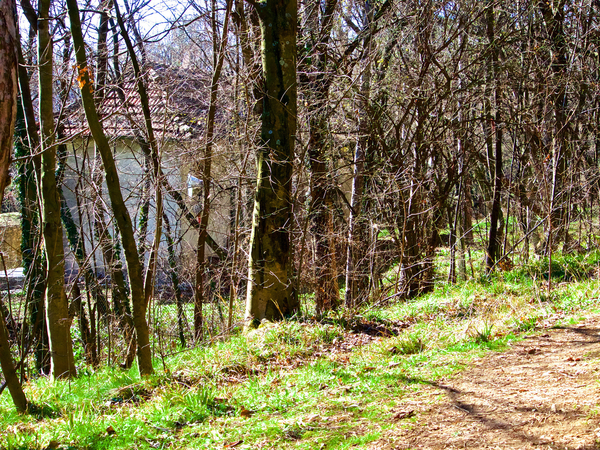 Panasonic Lumix DMC-GH4 sample photo. Парк Аязмото Стара Загора photography