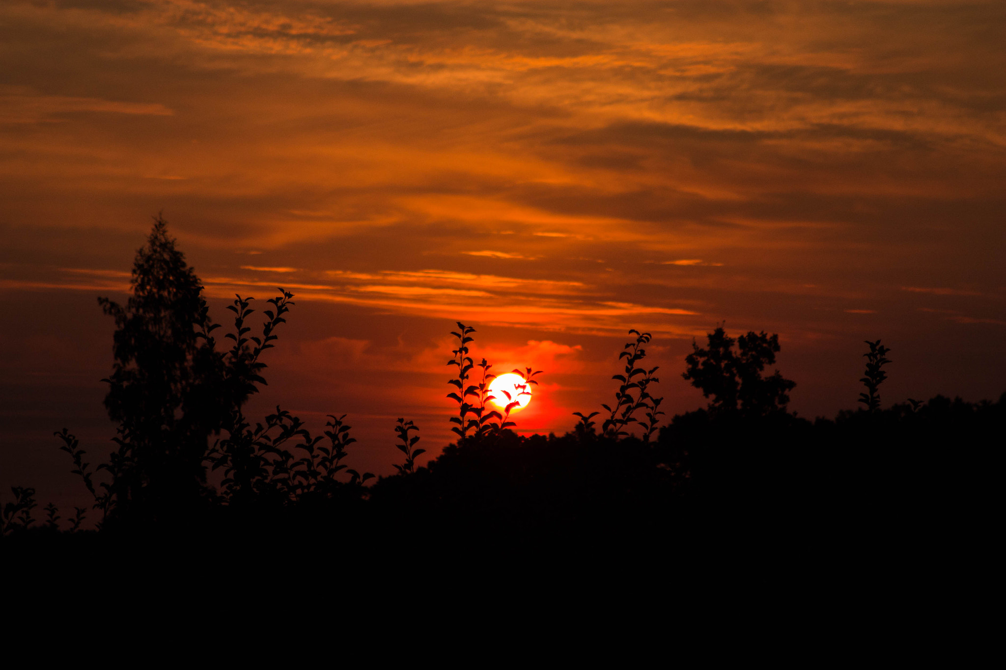 Canon EF 28-105mm f/3.5-4.5 USM sample photo. Sunrise photography