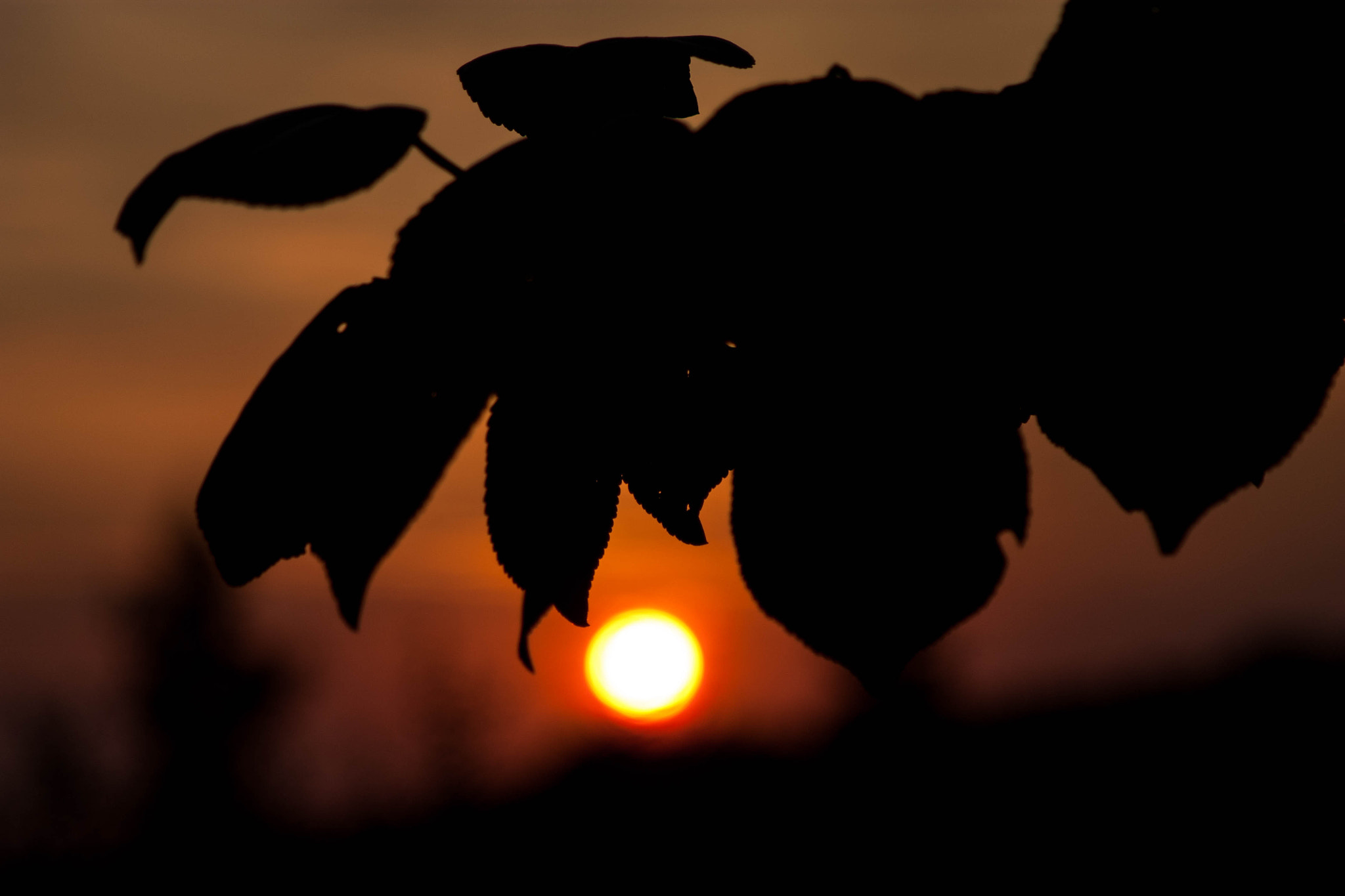 Canon EF 28-105mm f/3.5-4.5 USM sample photo. Sunrise photography