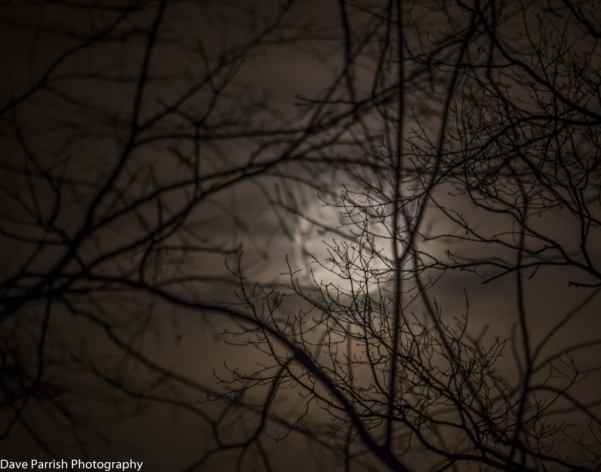 Sigma 150-500mm F5-6.3 DG OS HSM sample photo. February 2015 photography