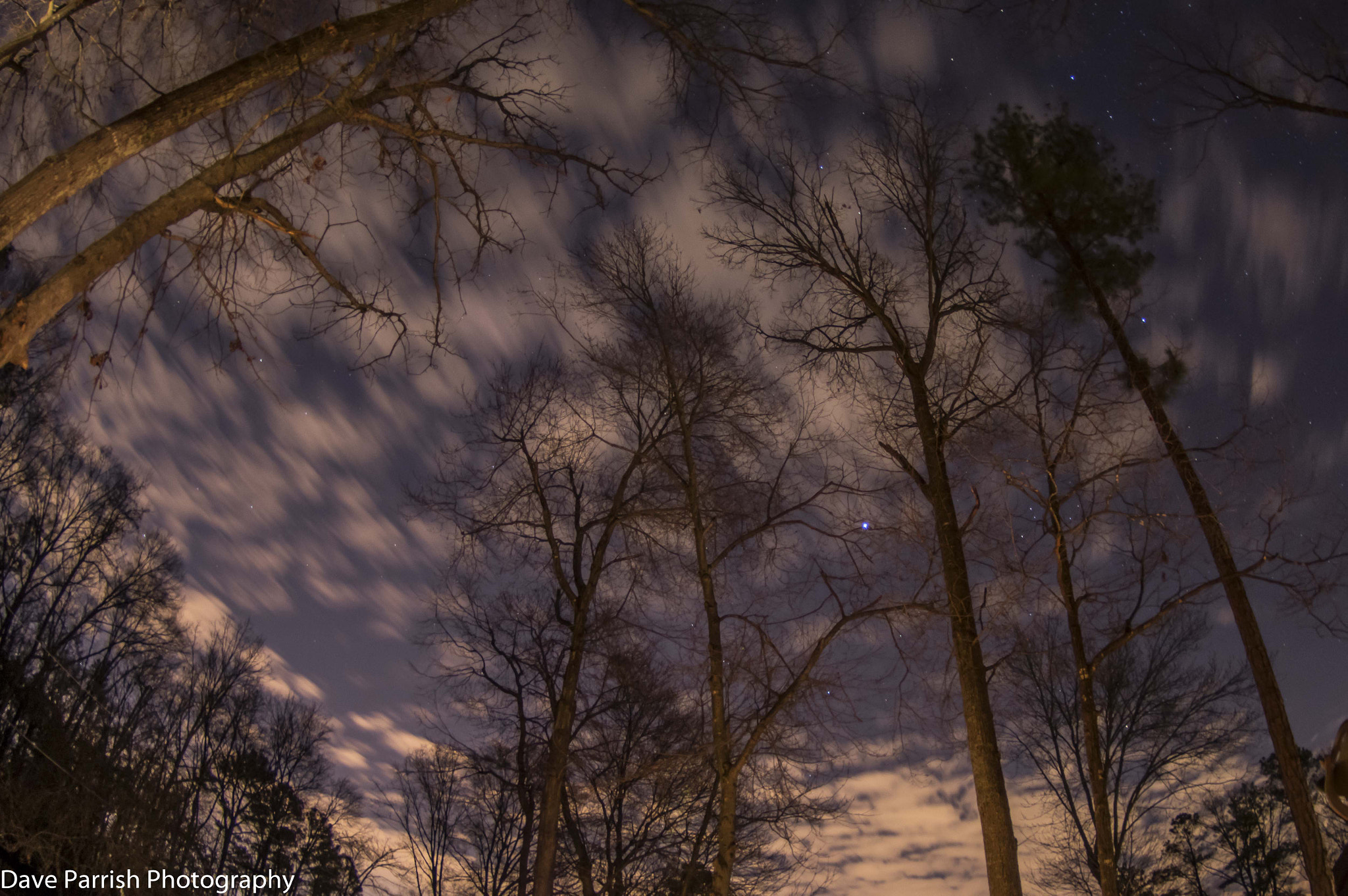Pentax K-3 sample photo. February 2015 photography