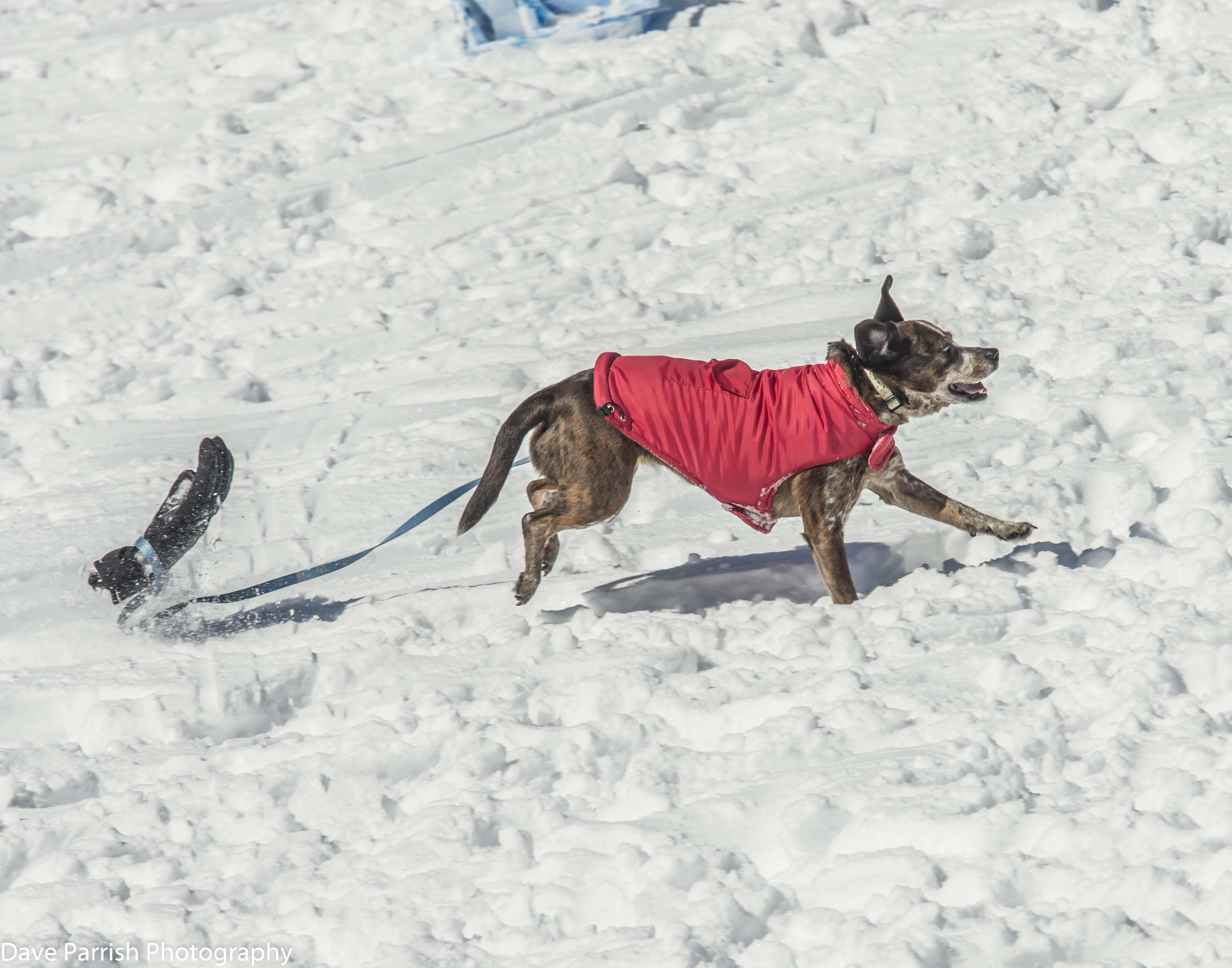 Sigma 70-200mm F2.8 EX DG Macro HSM II sample photo. February 2015 photography