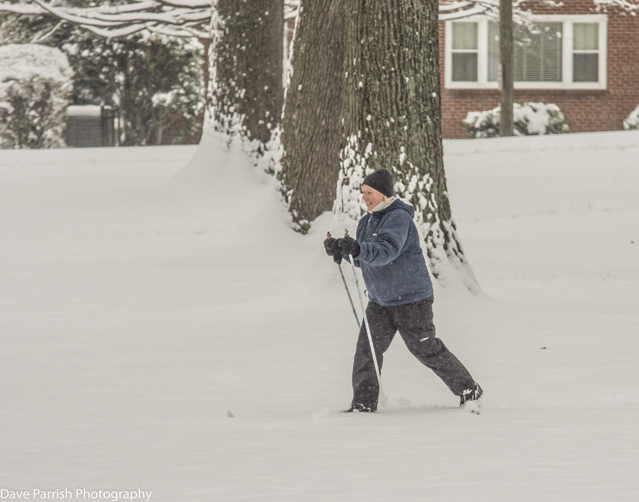 Sigma 70-200mm F2.8 EX DG Macro HSM II sample photo. February 2015 photography