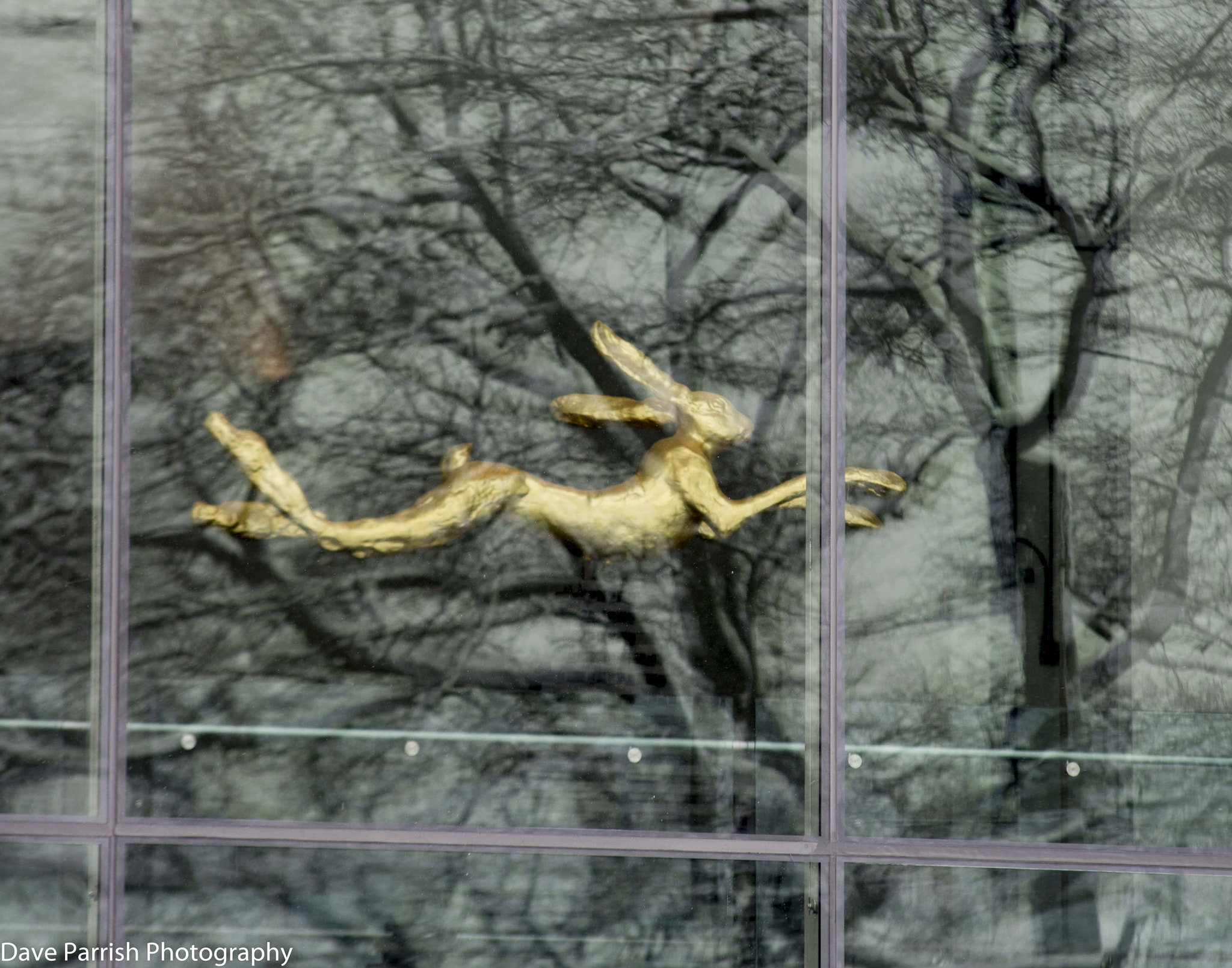 Sigma 70-200mm F2.8 EX DG Macro HSM II sample photo. February 2015 photography