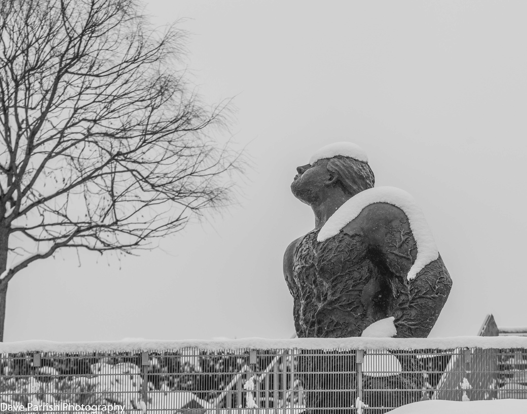 Sigma 70-200mm F2.8 EX DG Macro HSM II sample photo. February 2015 photography