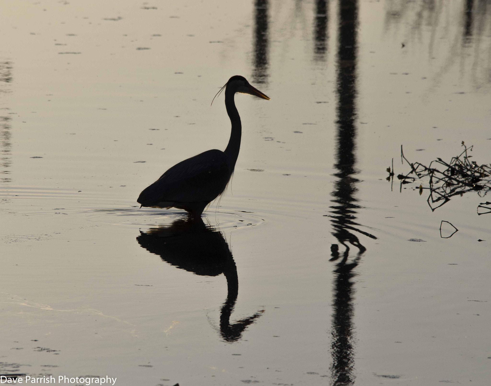 Pentax K-3 + Sigma 150-500mm F5-6.3 DG OS HSM sample photo. Amgp5556.jpg photography