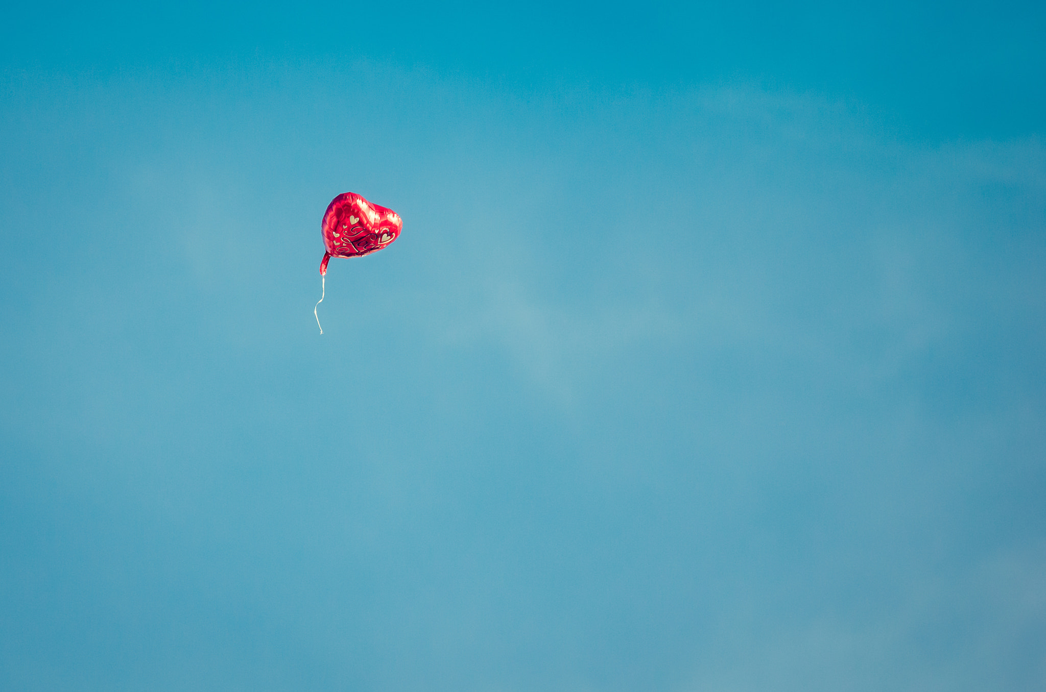 Pentax smc DA* 60-250mm F4.0 ED (IF) SDM sample photo. Love is in the air photography