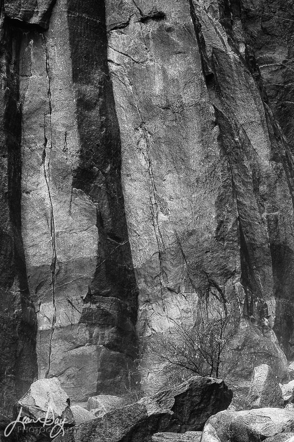 Pentax smc DA* 50-135mm F2.8 ED (IF) SDM sample photo. Stone wall and tree photography