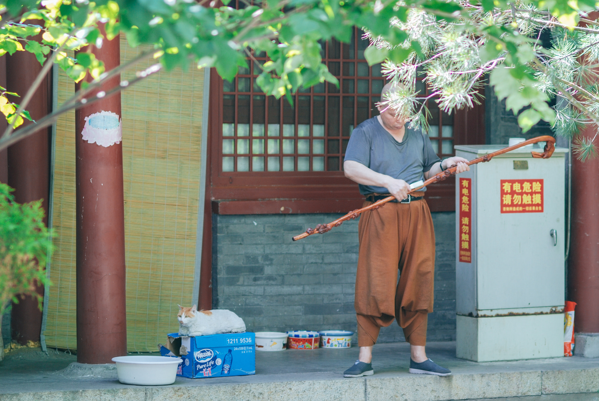 Nikon D80 + Nikon AF Nikkor 85mm F1.8D sample photo. 白塔寺胡同 photography