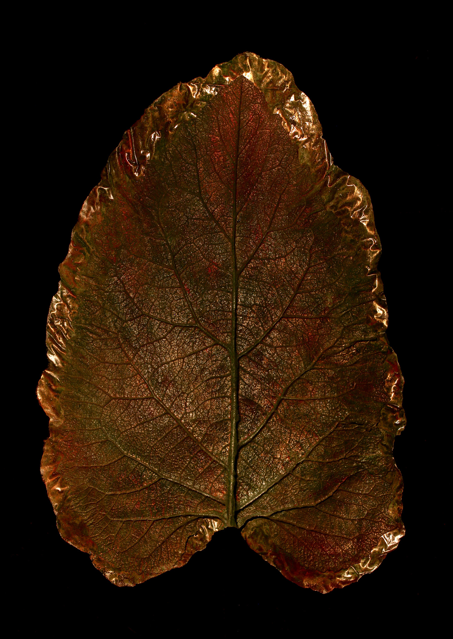 Tamron SP AF 60mm F2 Di II LD IF Macro sample photo. Glass leaf photography