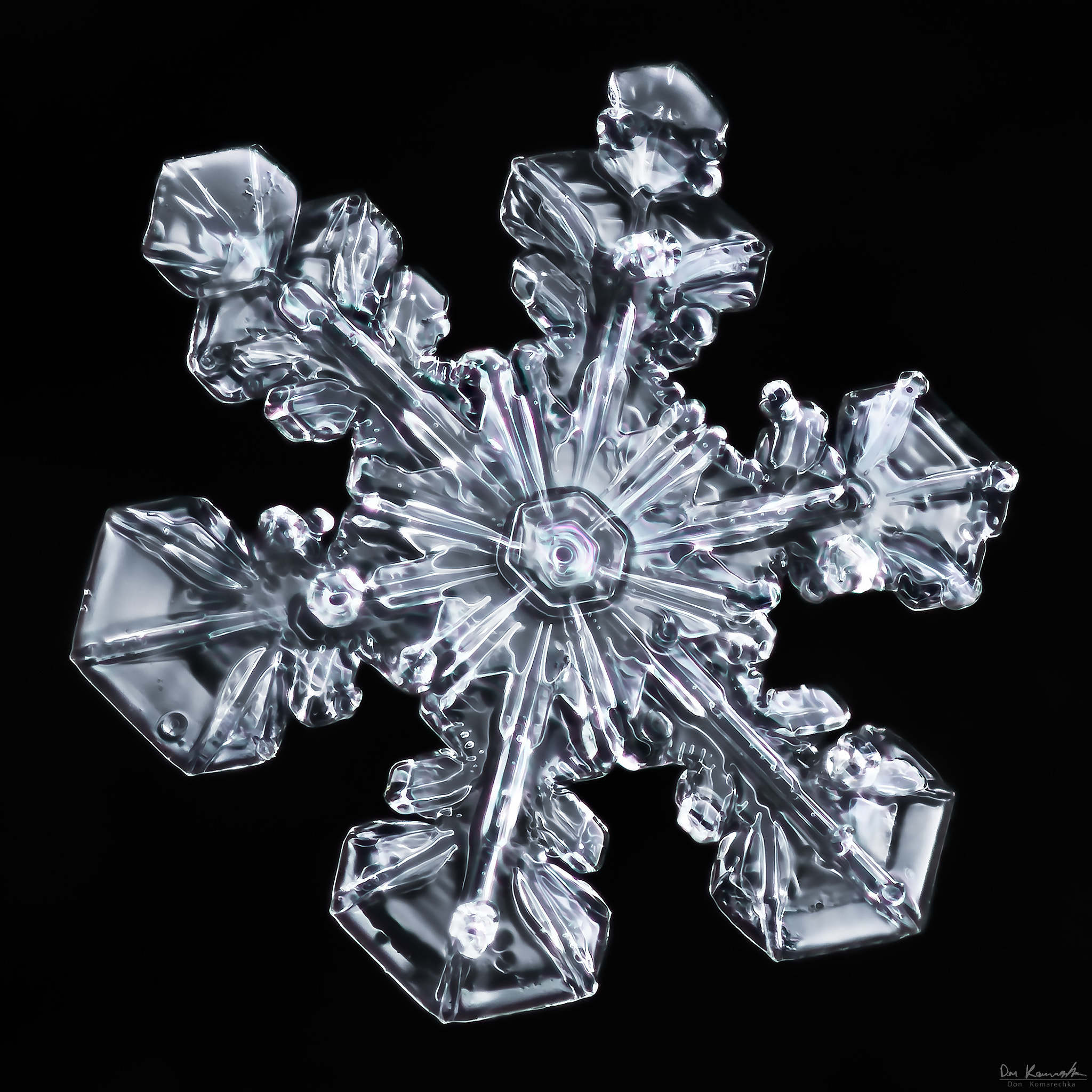 Canon MP-E 65mm F2.5 1-5x Macro Photo sample photo. Snowflake-a-day #84 photography