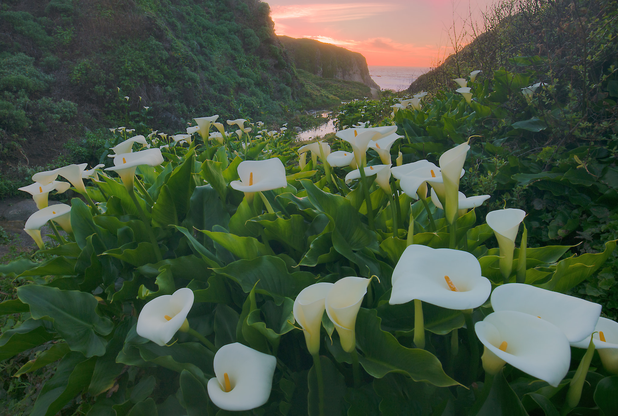 16-35mm F4 OSS sample photo. As the sun sets... photography